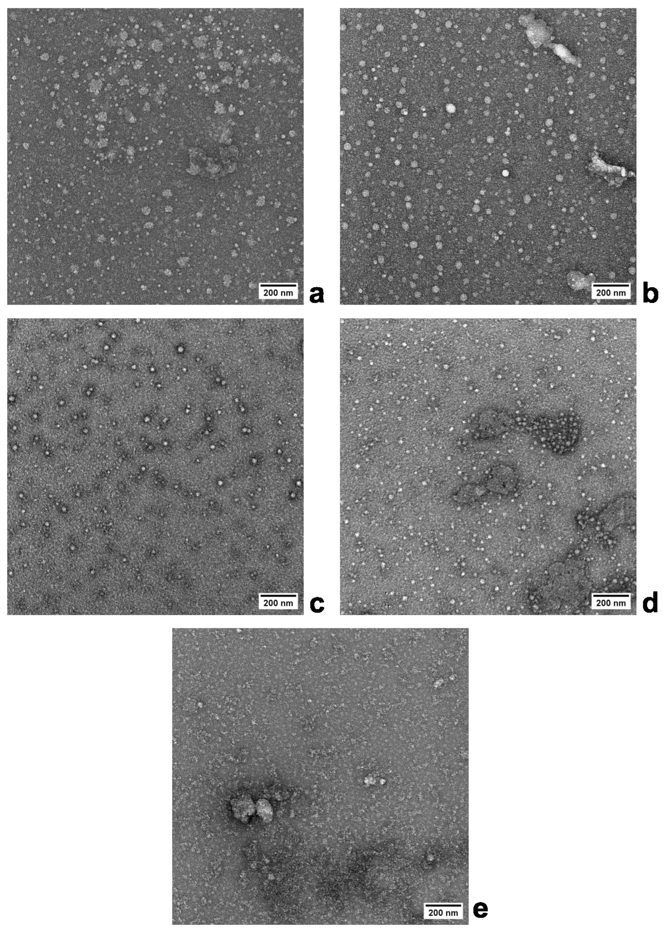 Polymers 16 00263 g001 Polymers 16 00263 g001
