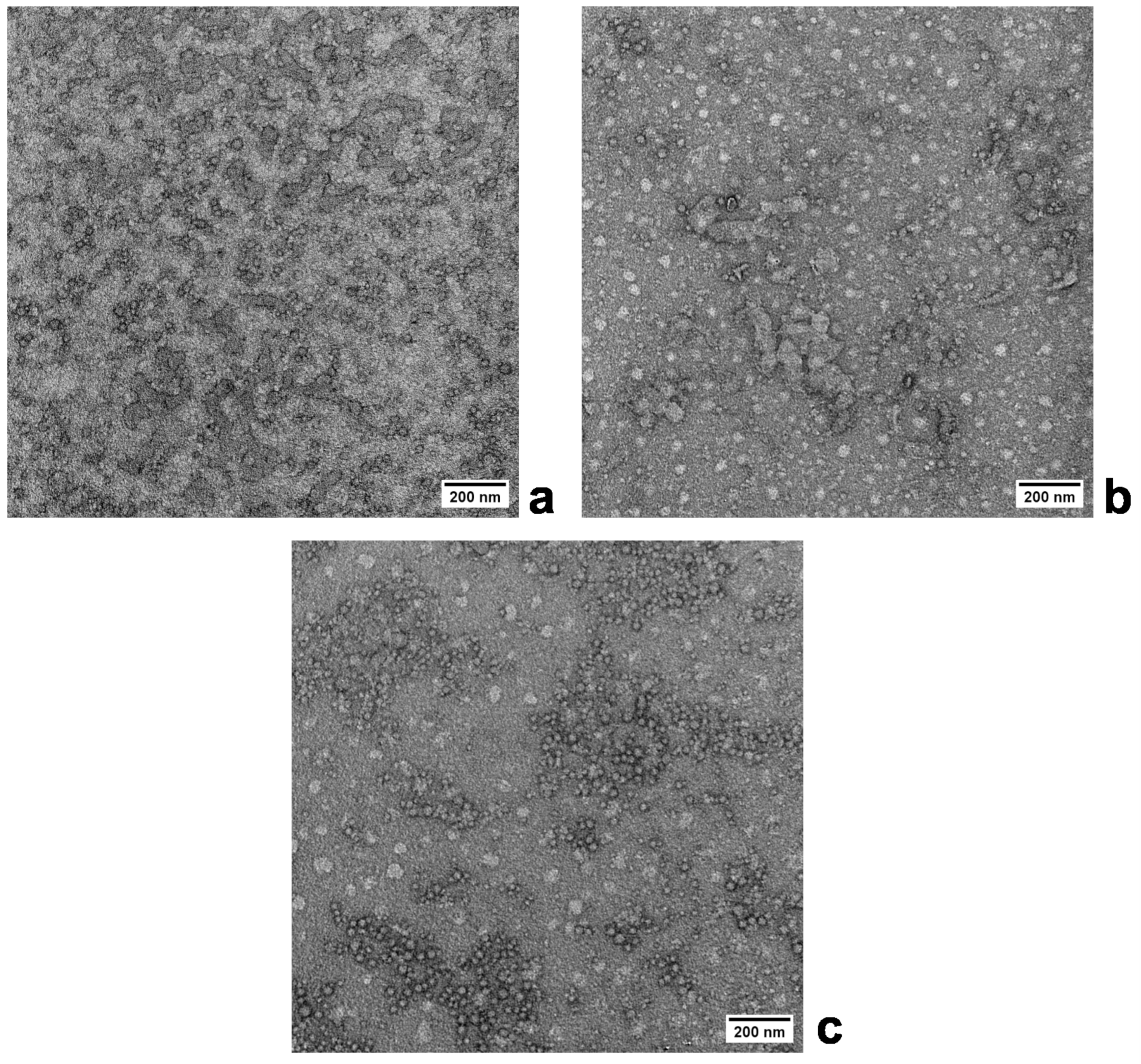 Polymers 16 00263 g003 Polymers 16 00263 g003