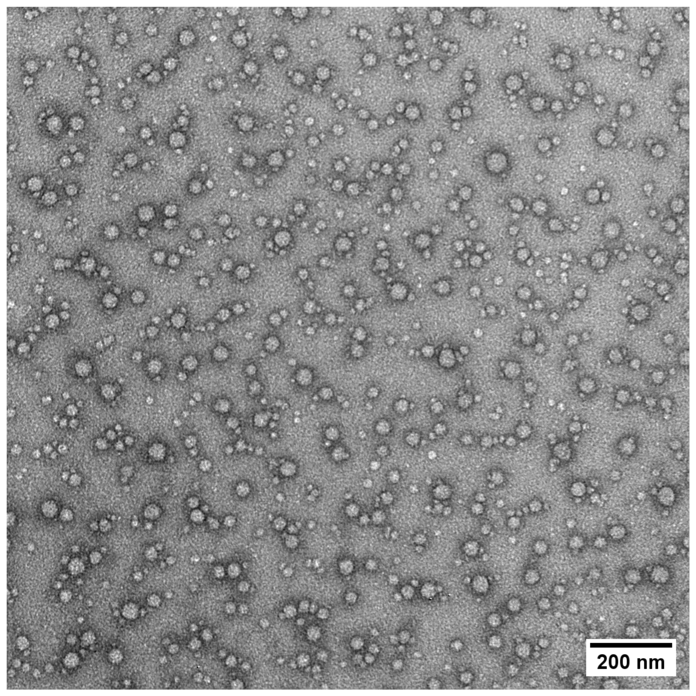 Polymers 16 00263 g004 Polymers 16 00263 g004