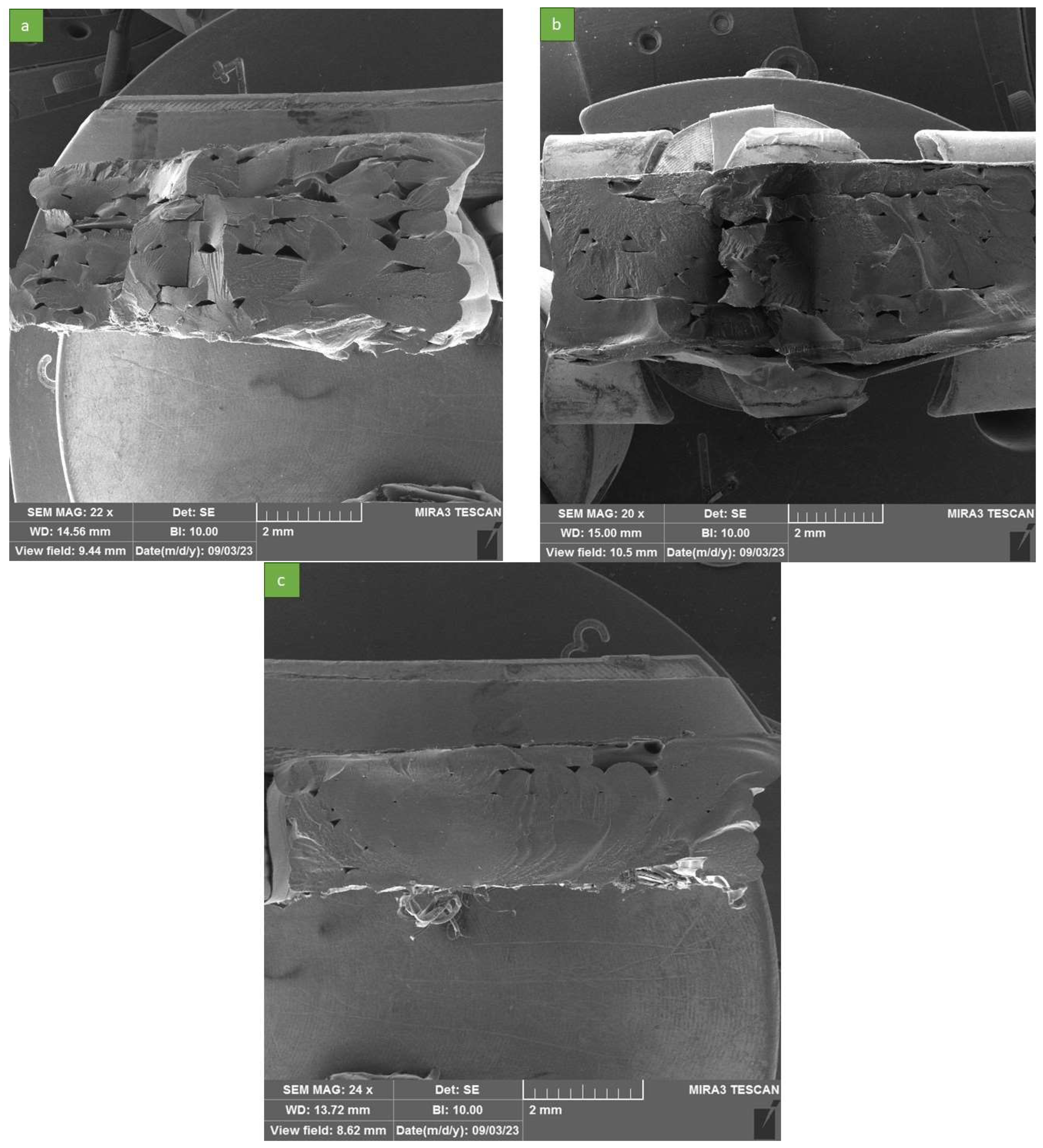 Polymers 16 00267 g007