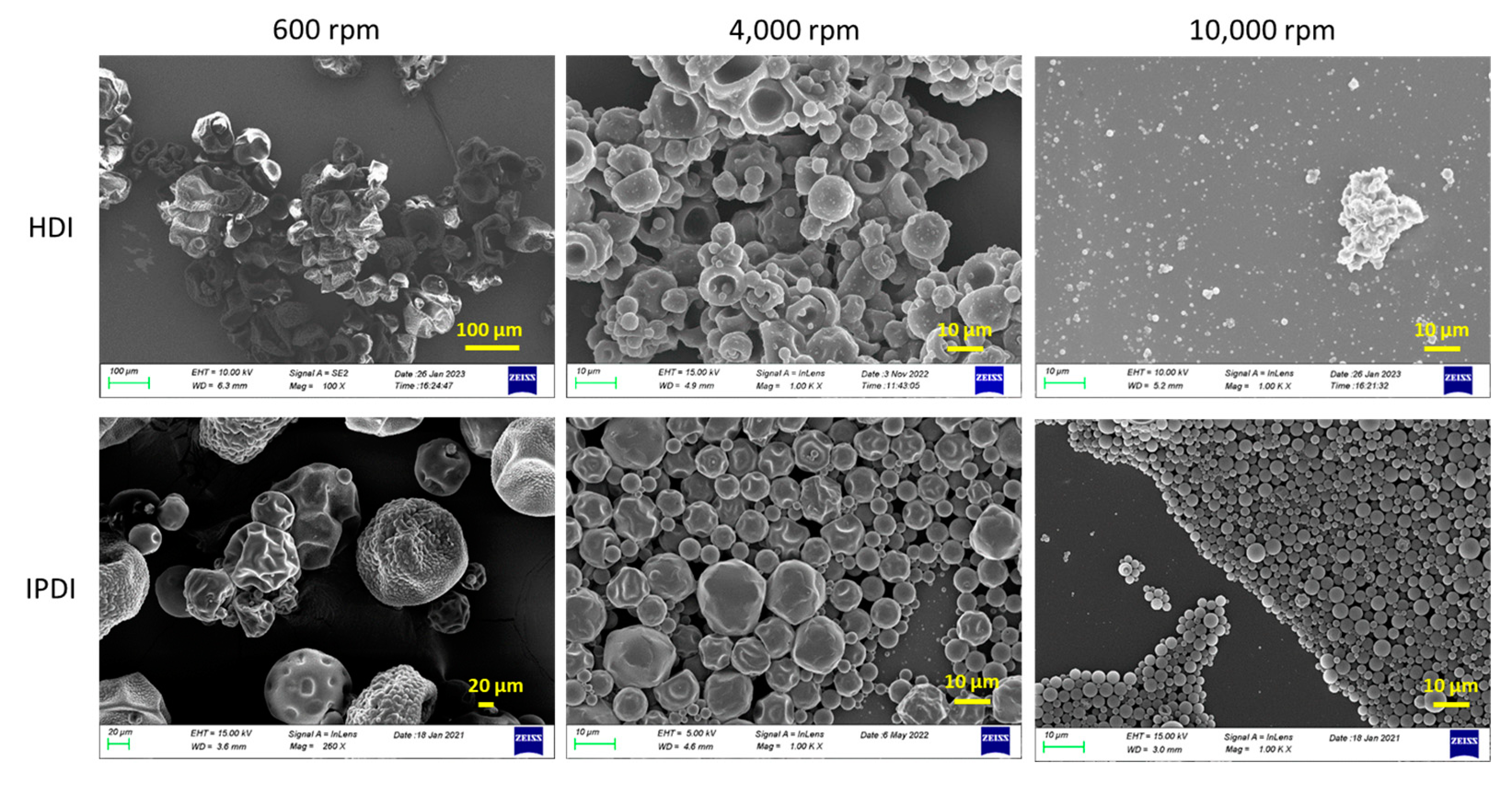 Polymers 16 00270 g006