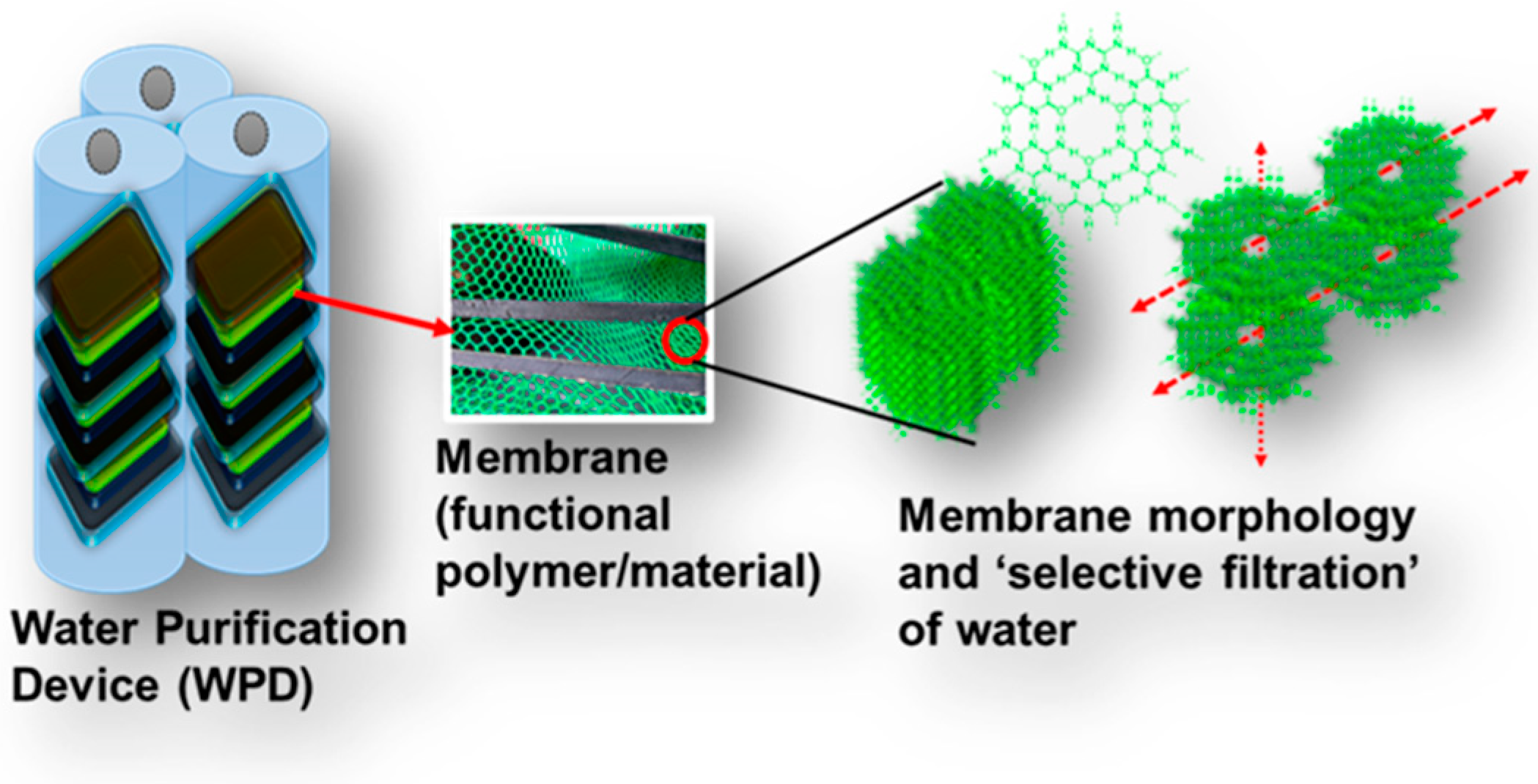 Polymers 16 00271 g001