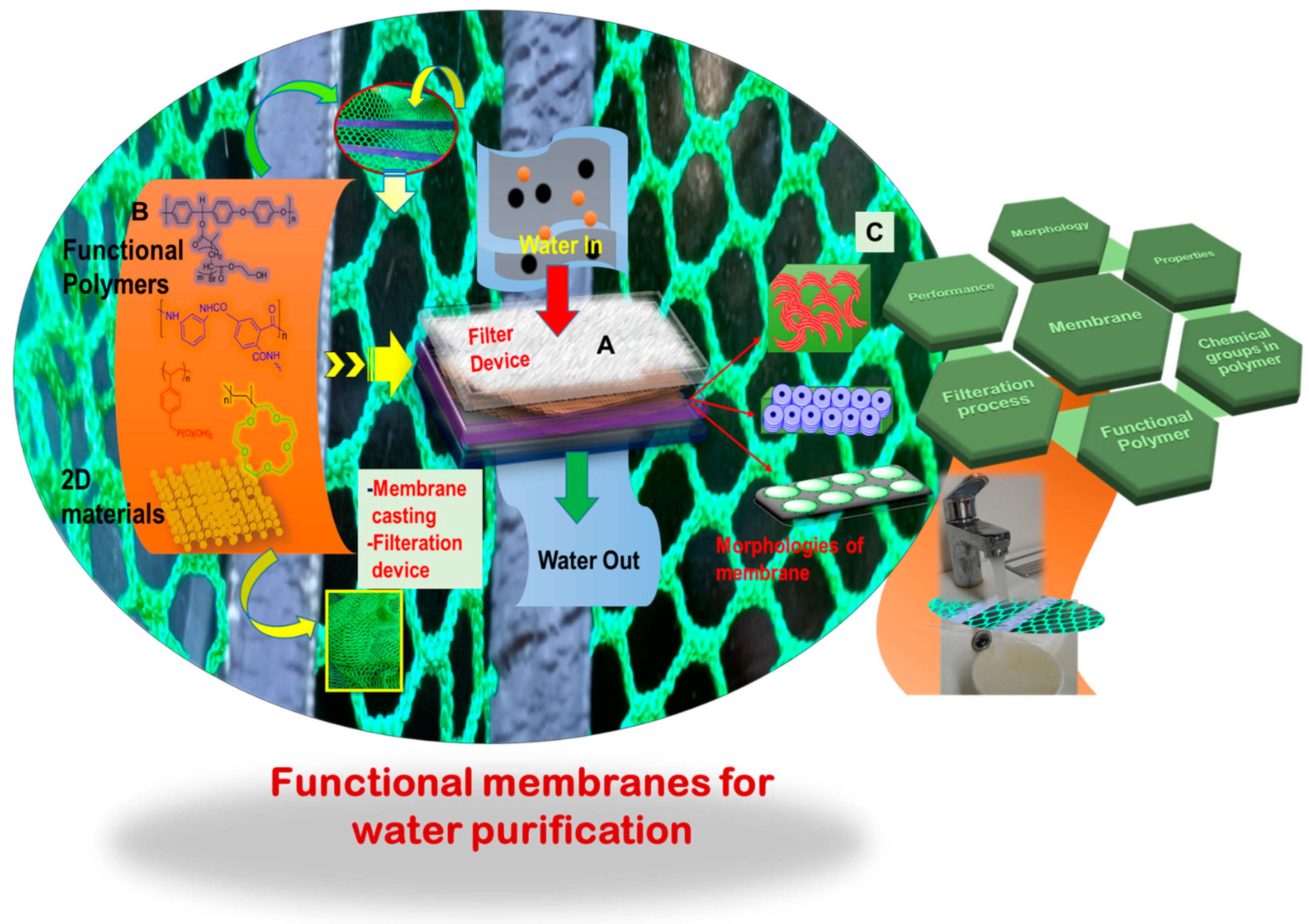 Polymers 16 00271 g002