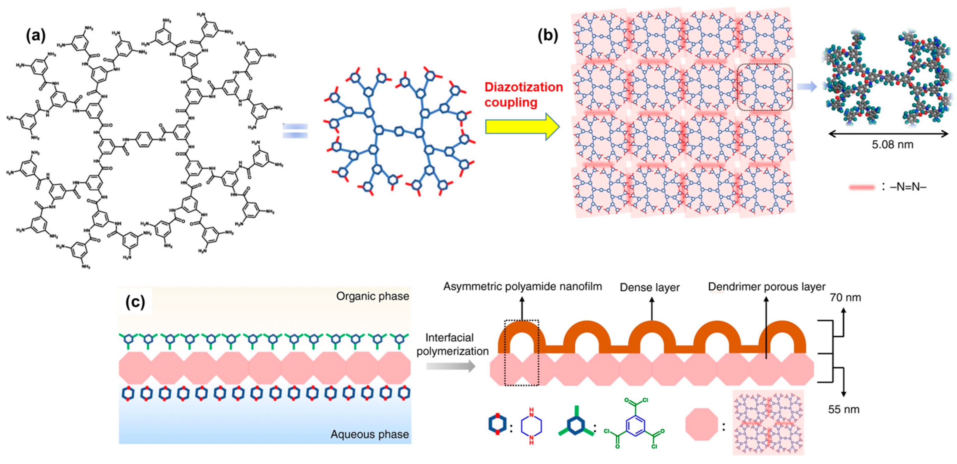 Polymers 16 00271 g005