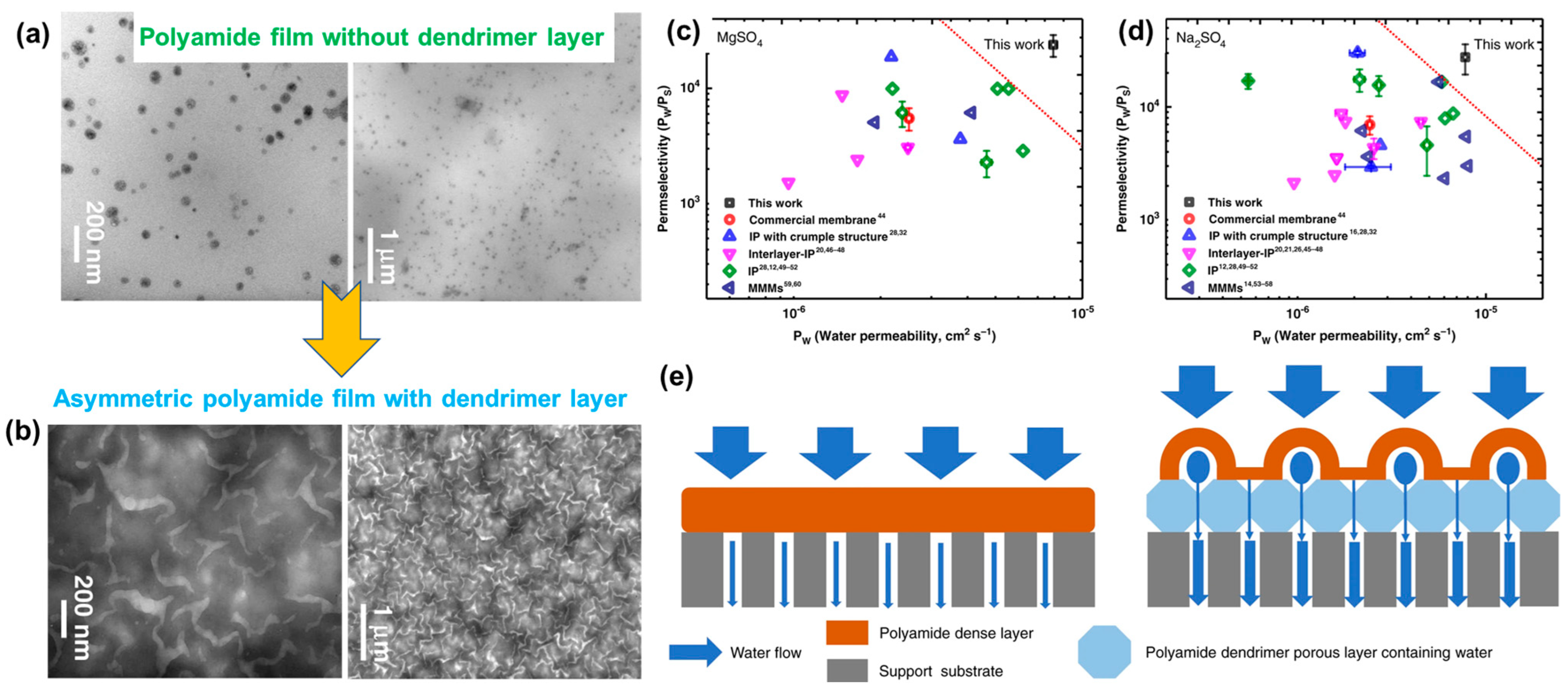 Polymers 16 00271 g006