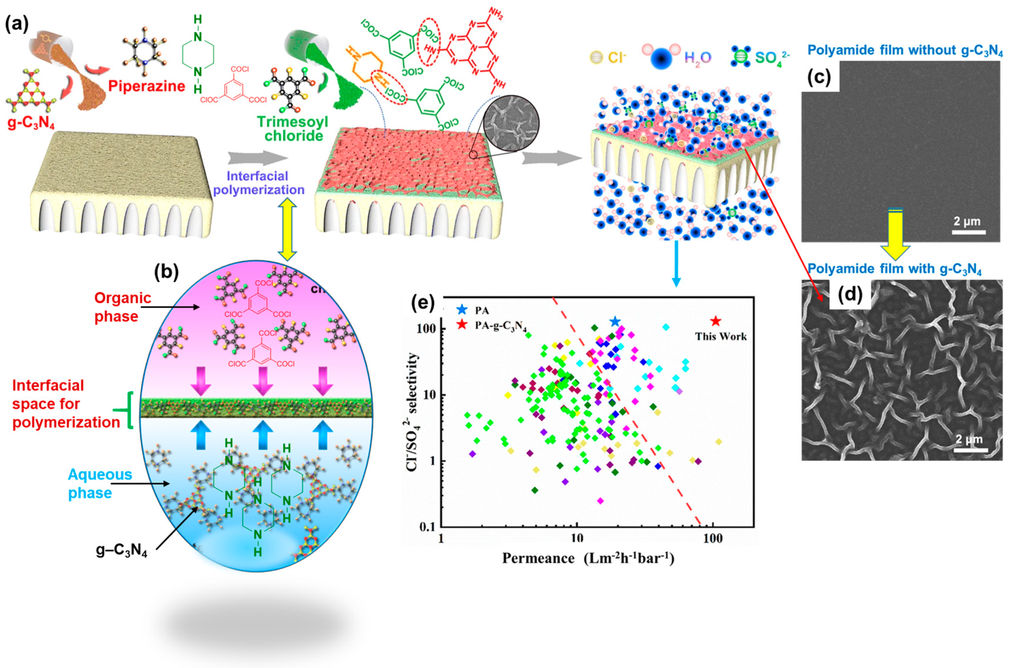 Polymers 16 00271 g007