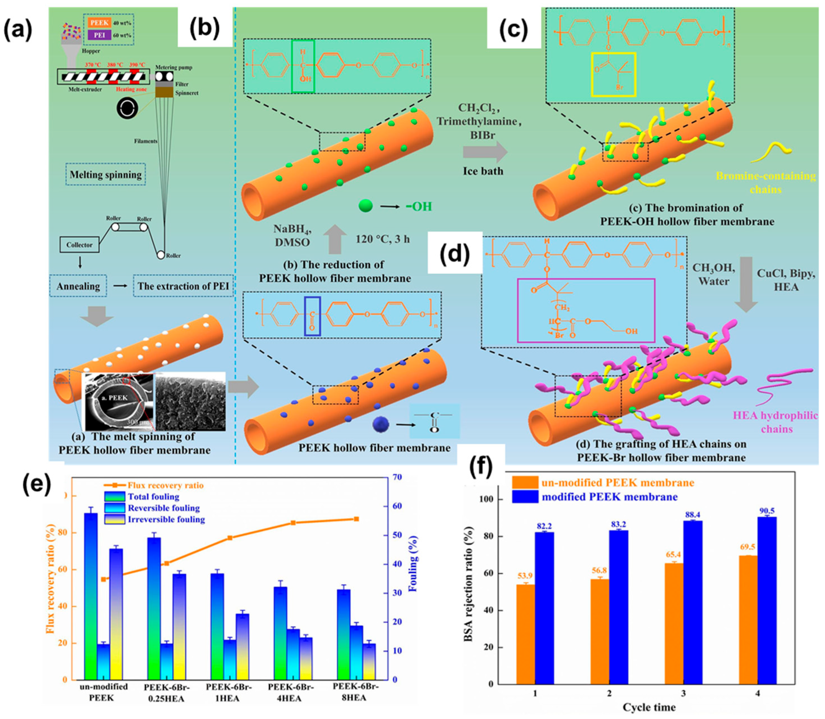 Polymers 16 00271 g013