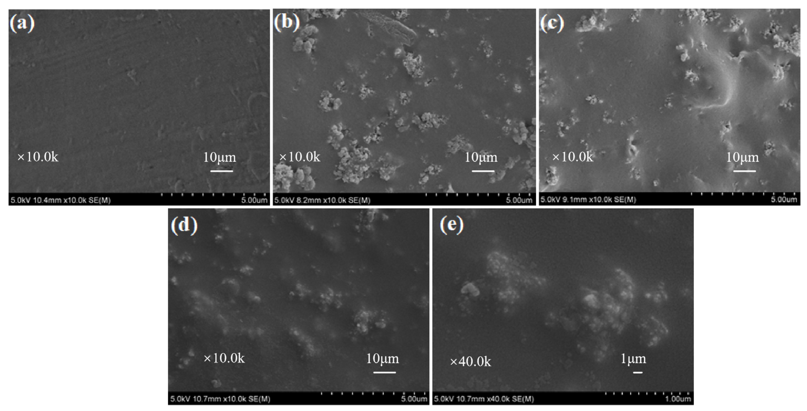 Polymers 16 00275 g005