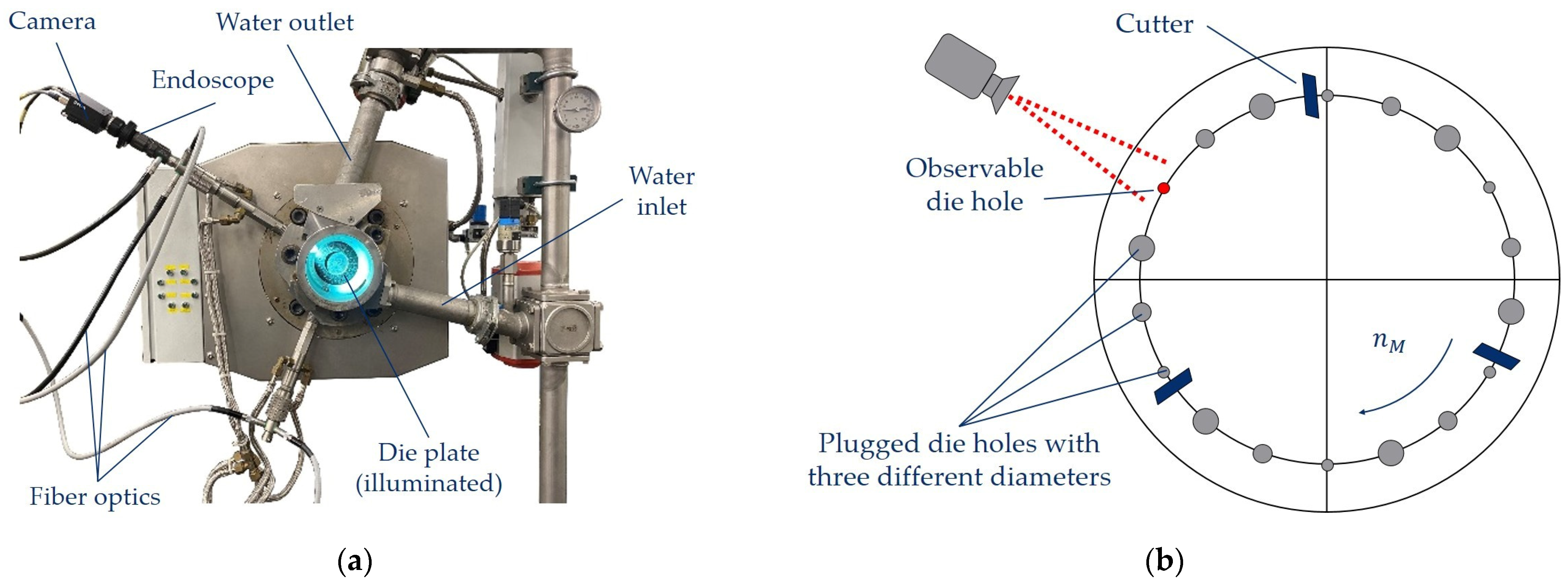 Polymers 16 00277 g001