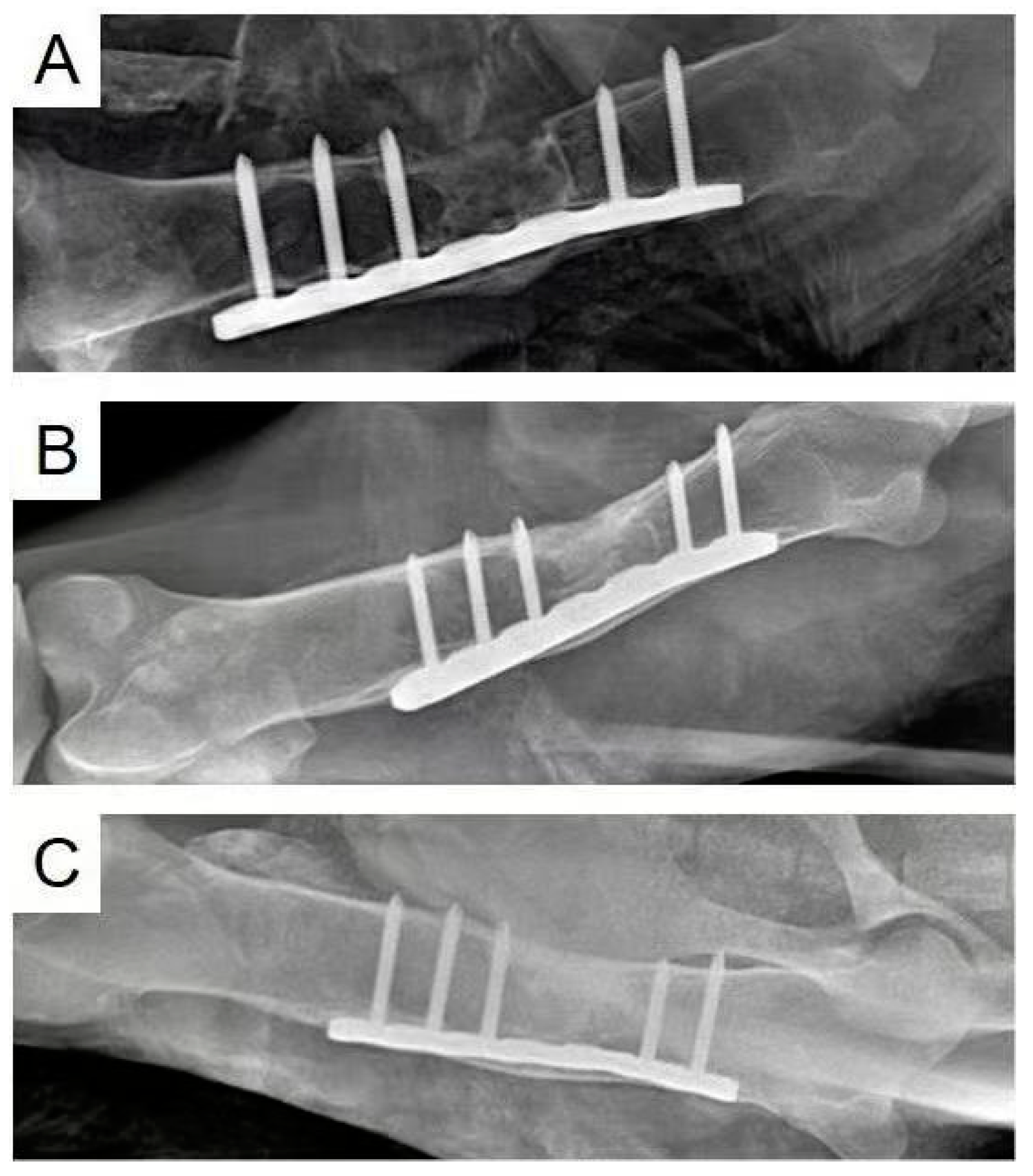 Polymers 16 00279 g001