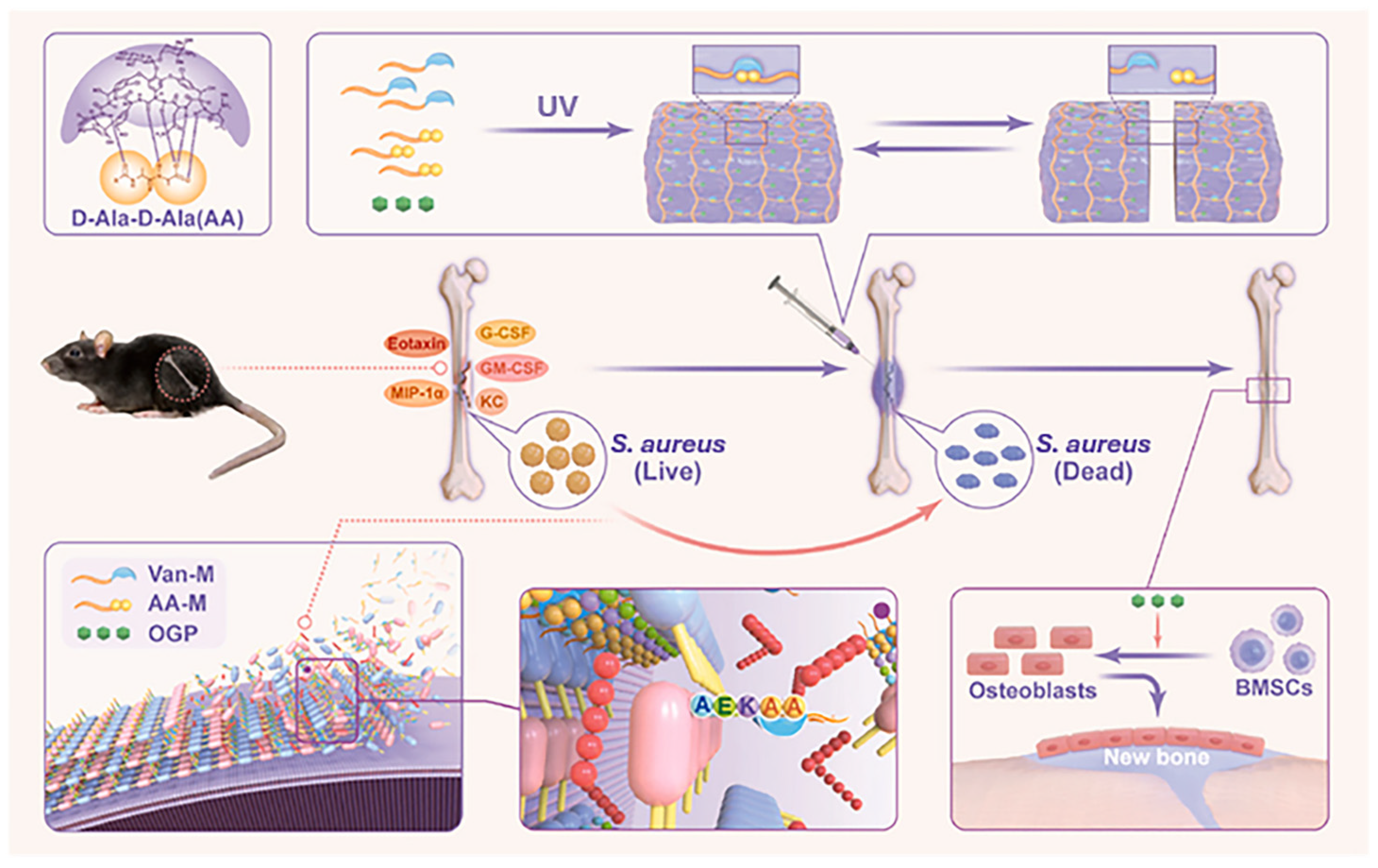 Polymers 16 00281 g002