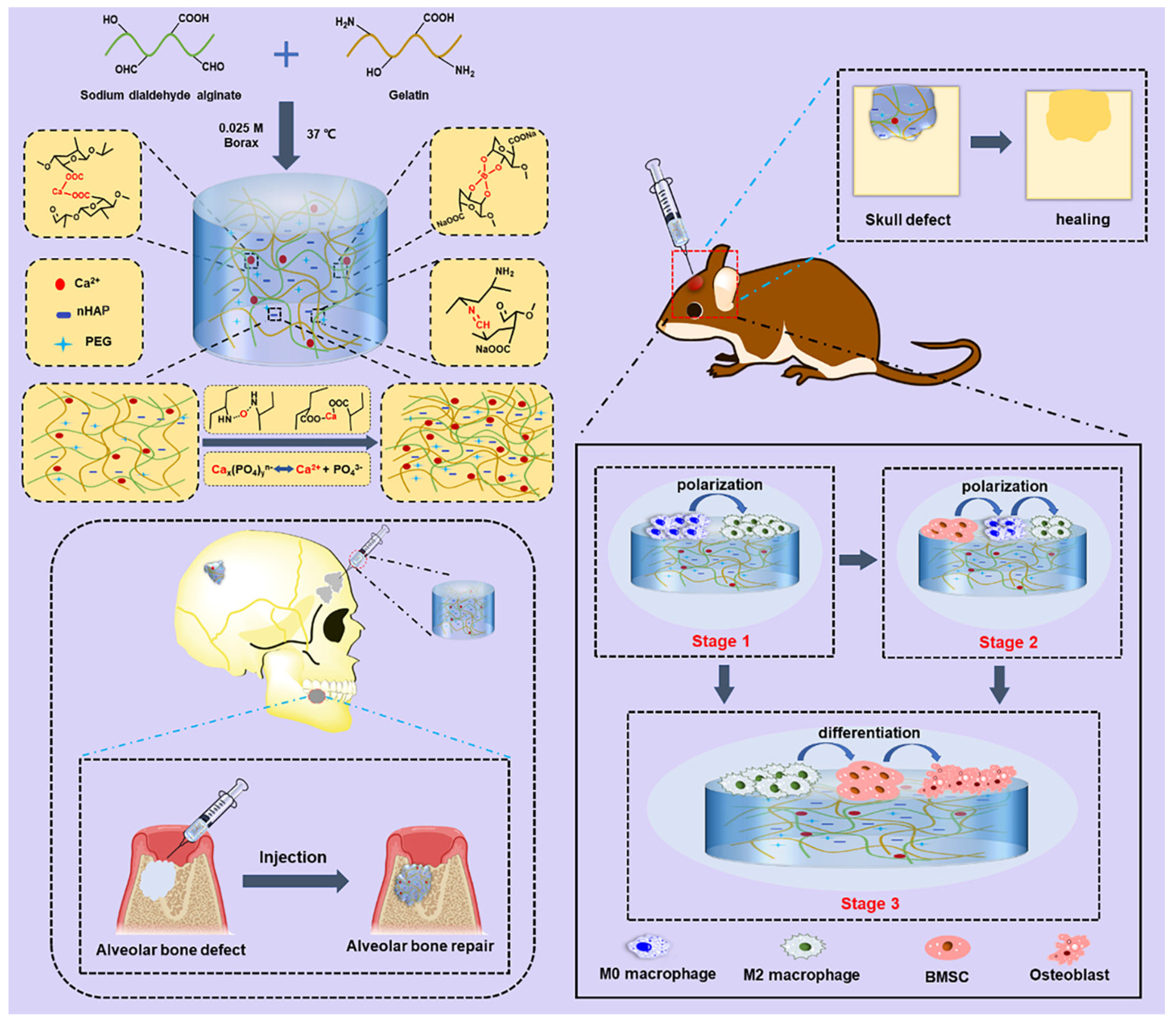 Polymers 16 00281 g007