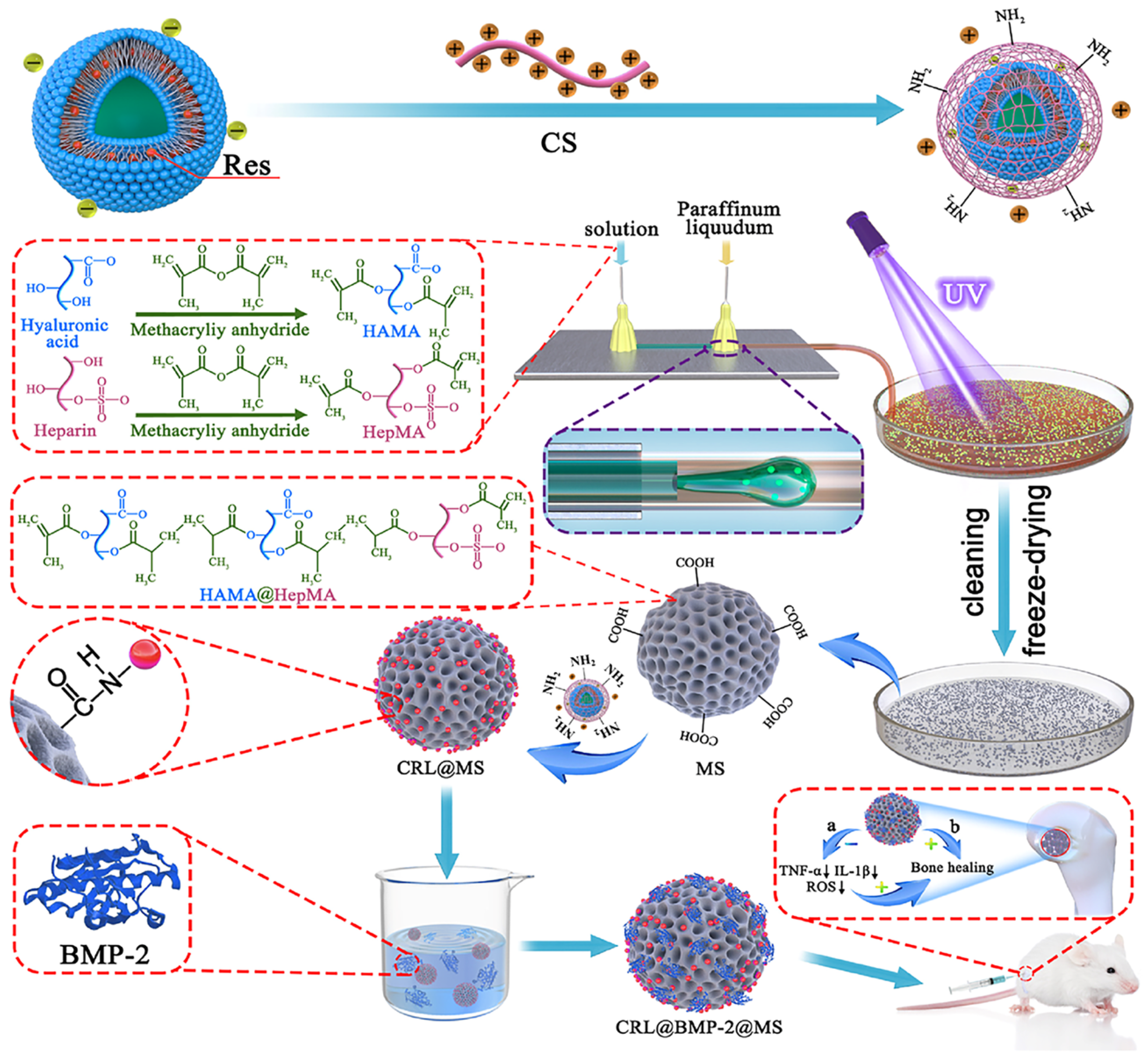 Polymers 16 00281 g008