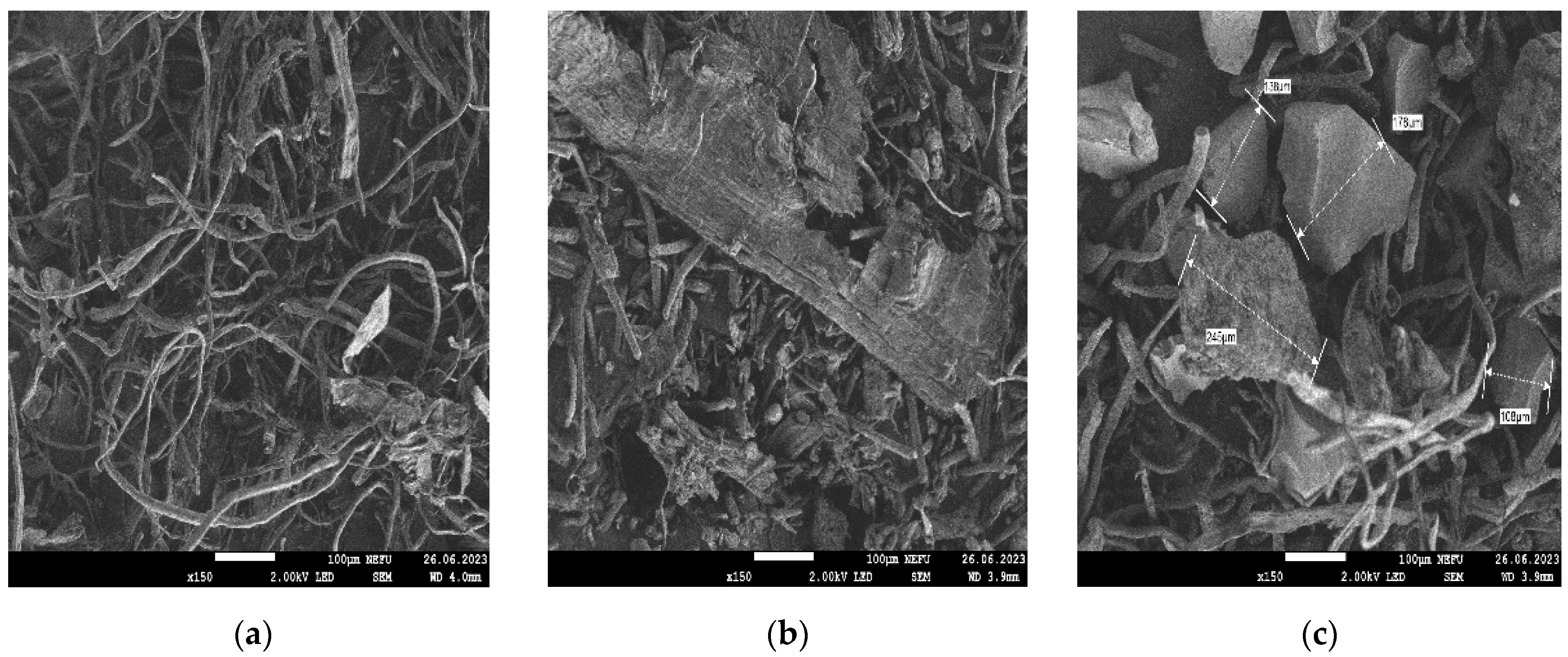 Polymers 16 00282 g004 Polymers 16 00282 g004