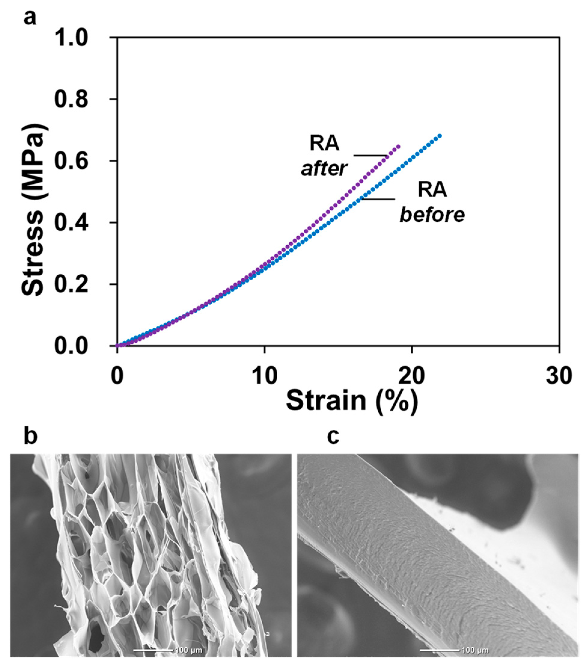 Polymers 16 00283 g005