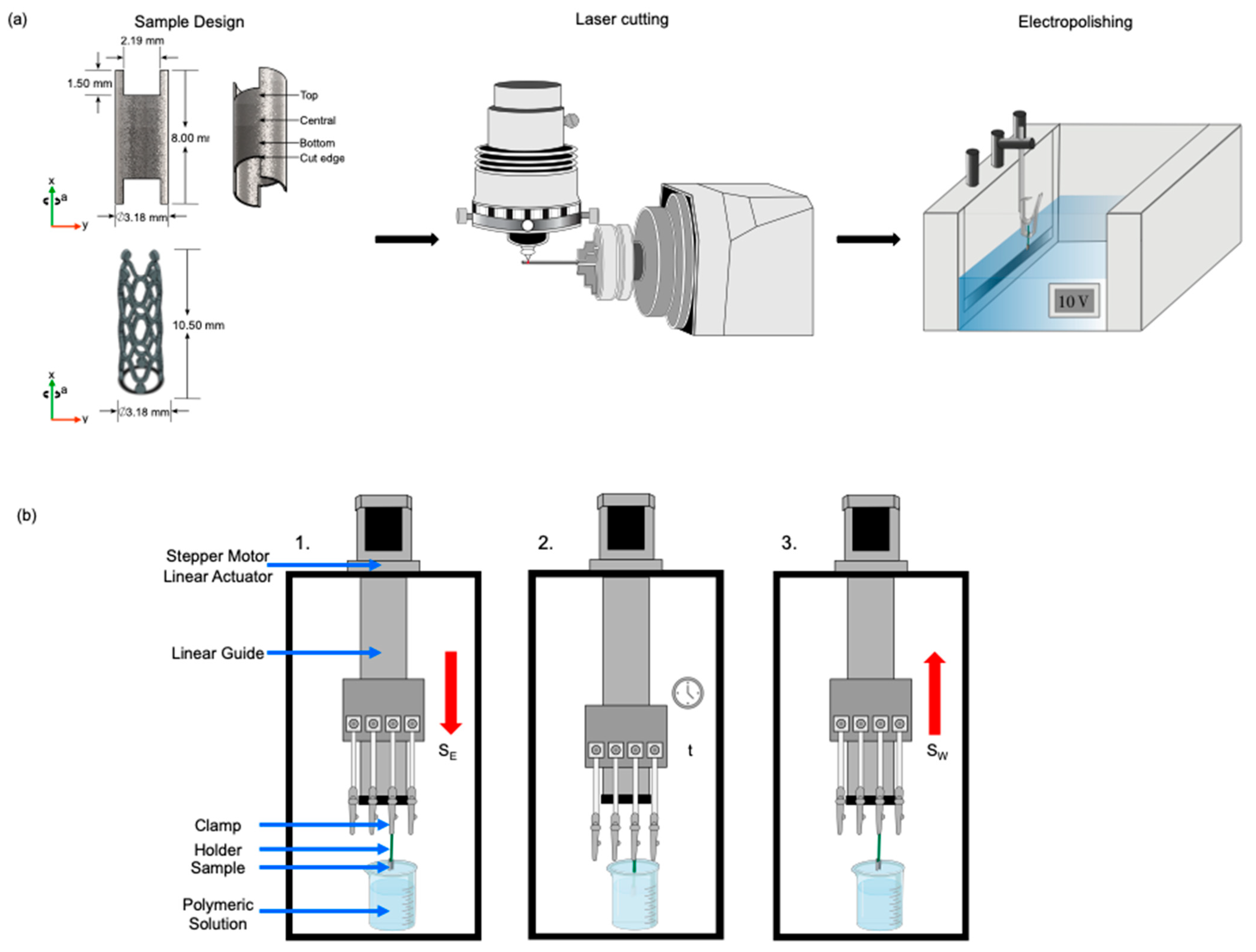 Polymers 16 00284 g001