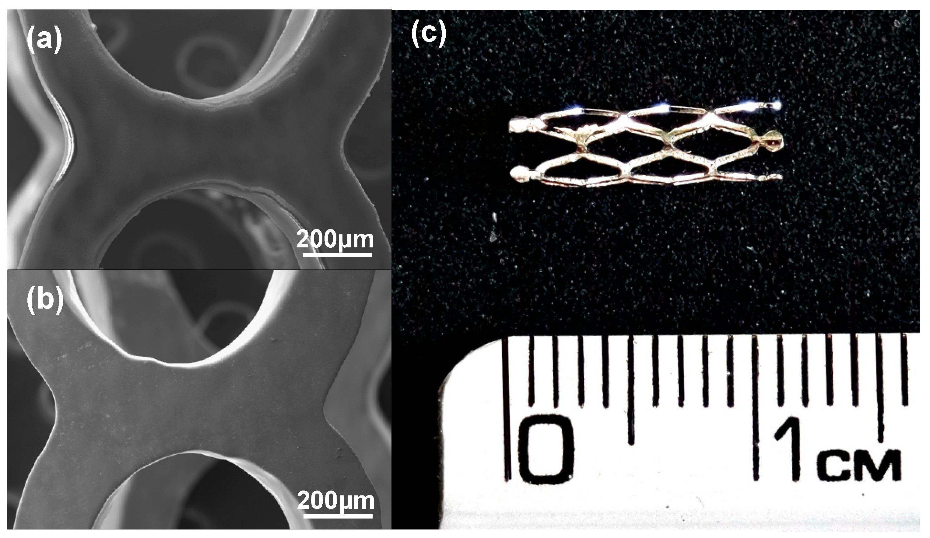 Polymers 16 00284 g008