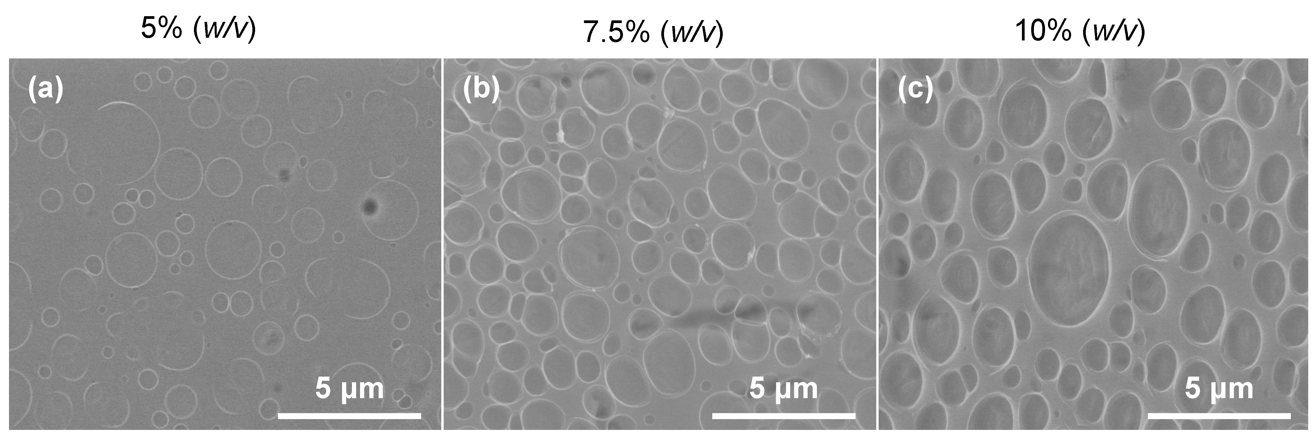 Polymers 16 00284 g009