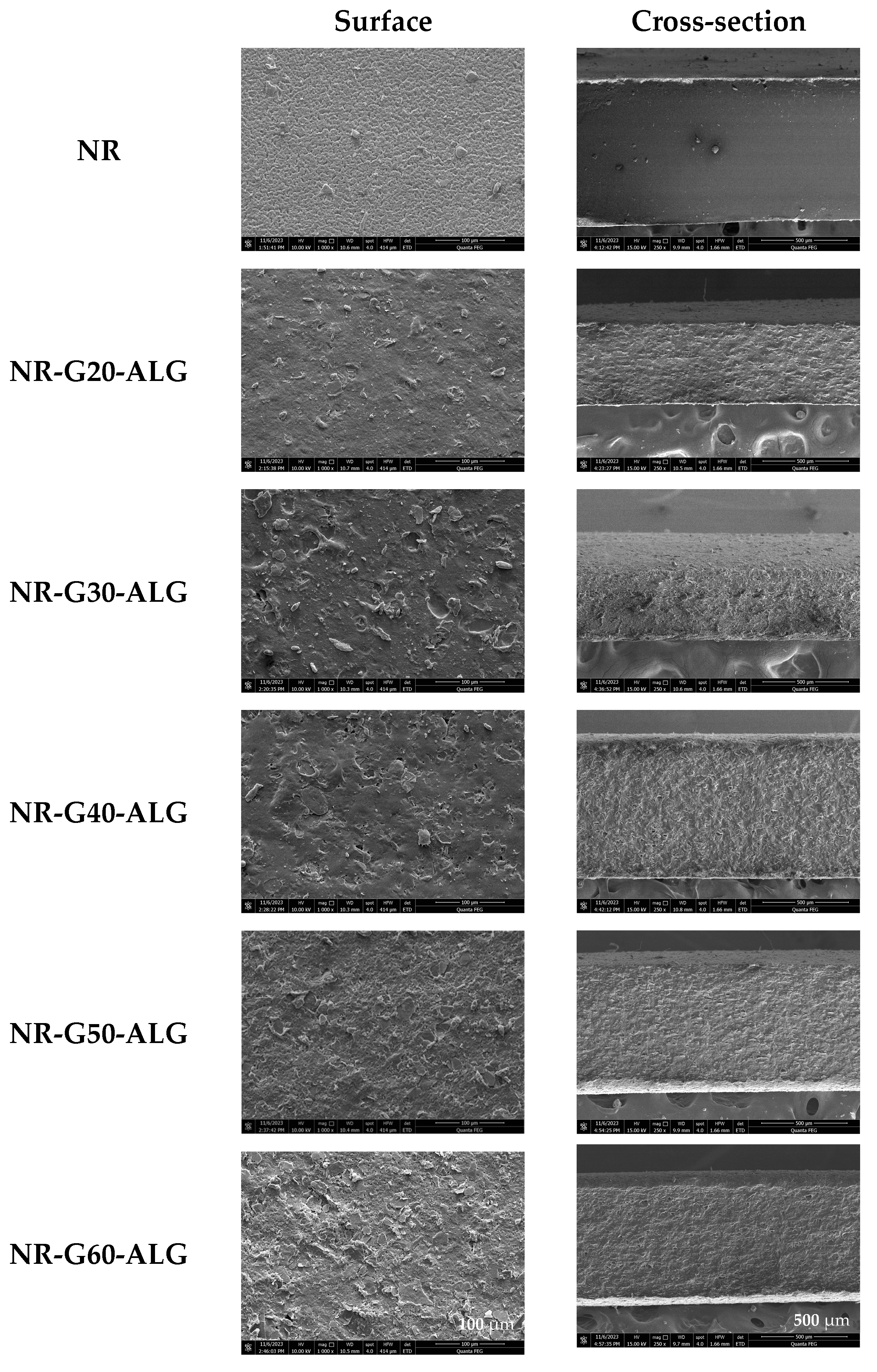Polymers 16 00288 g004