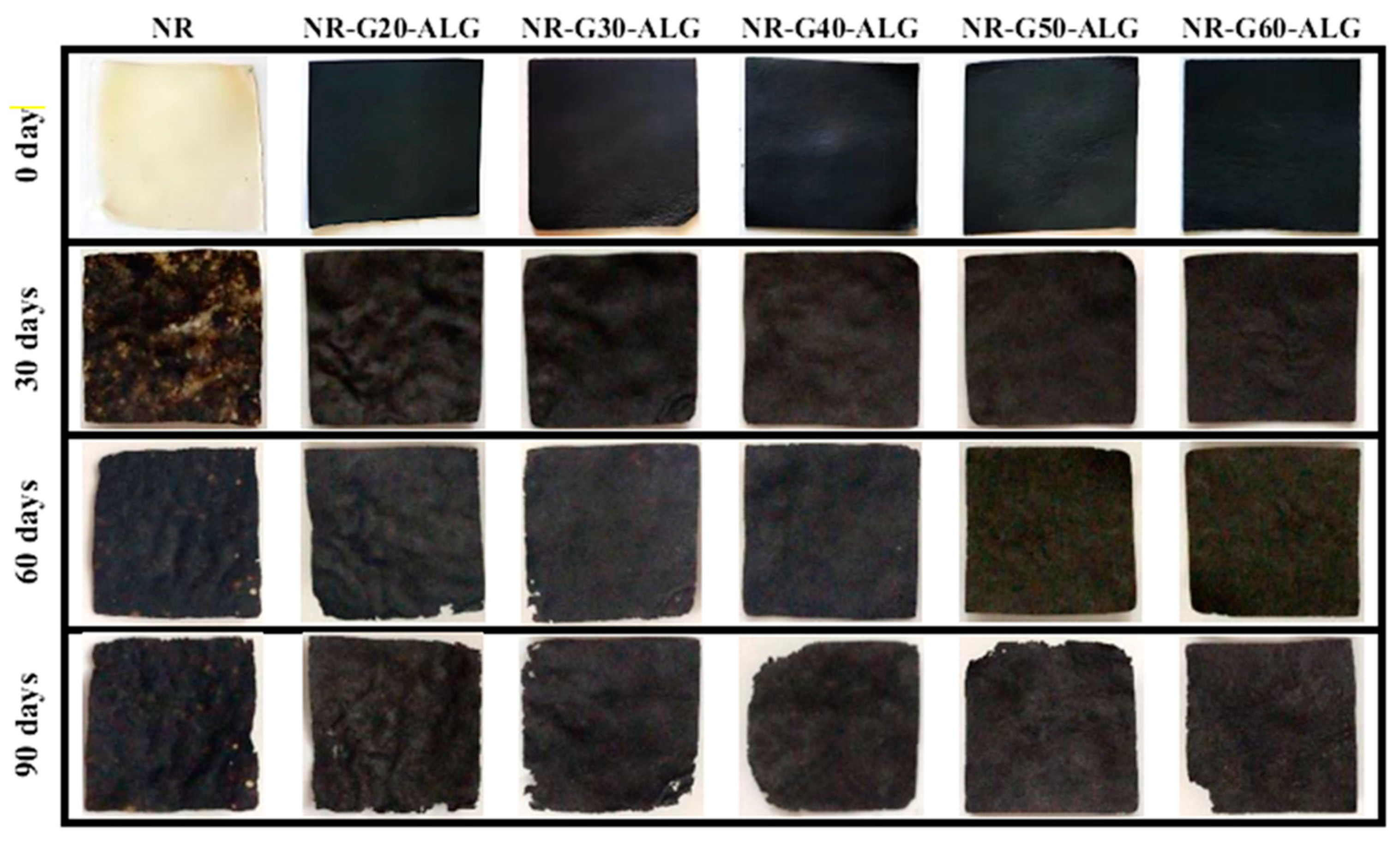 Polymers 16 00288 g012