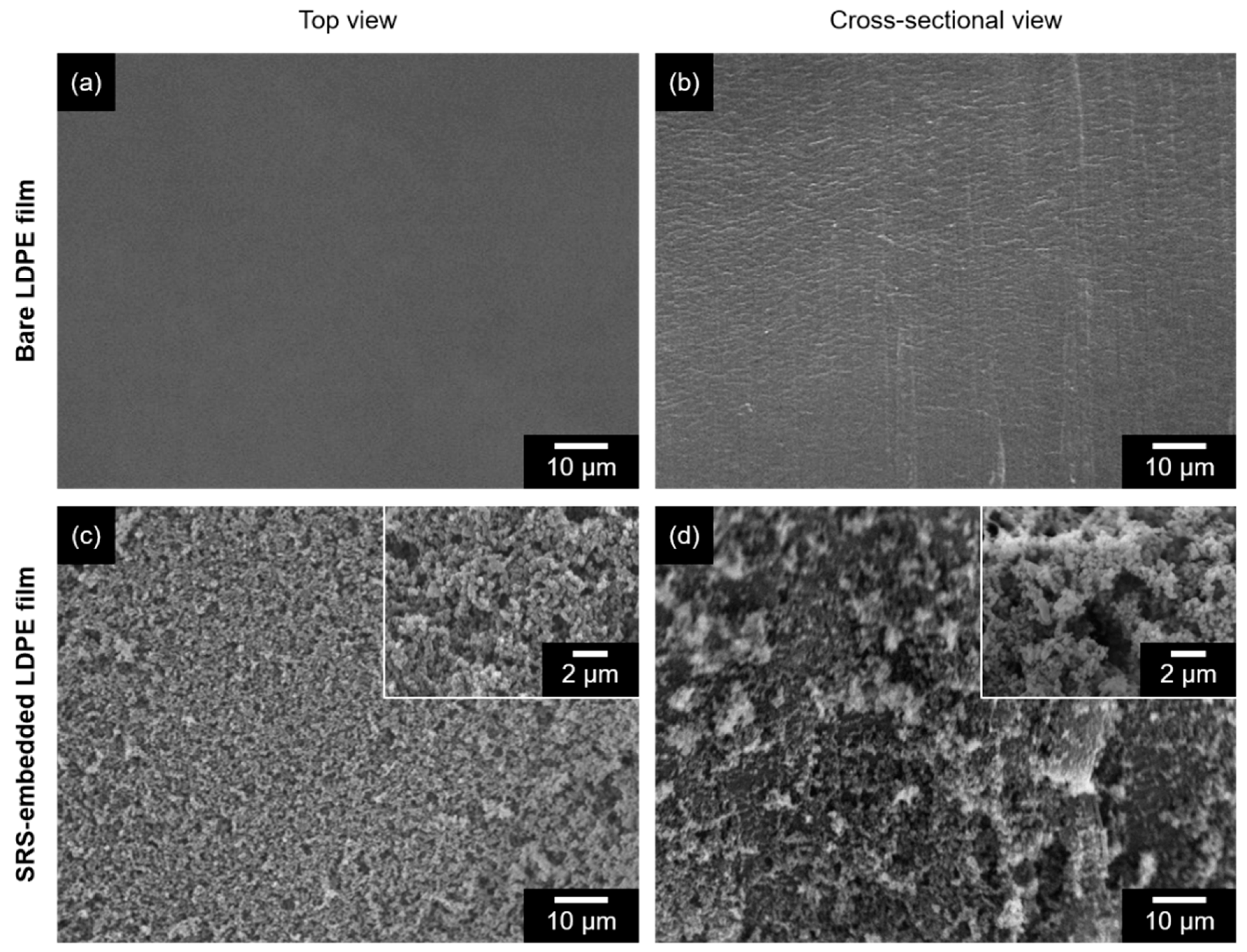 Polymers 16 00292 g002
