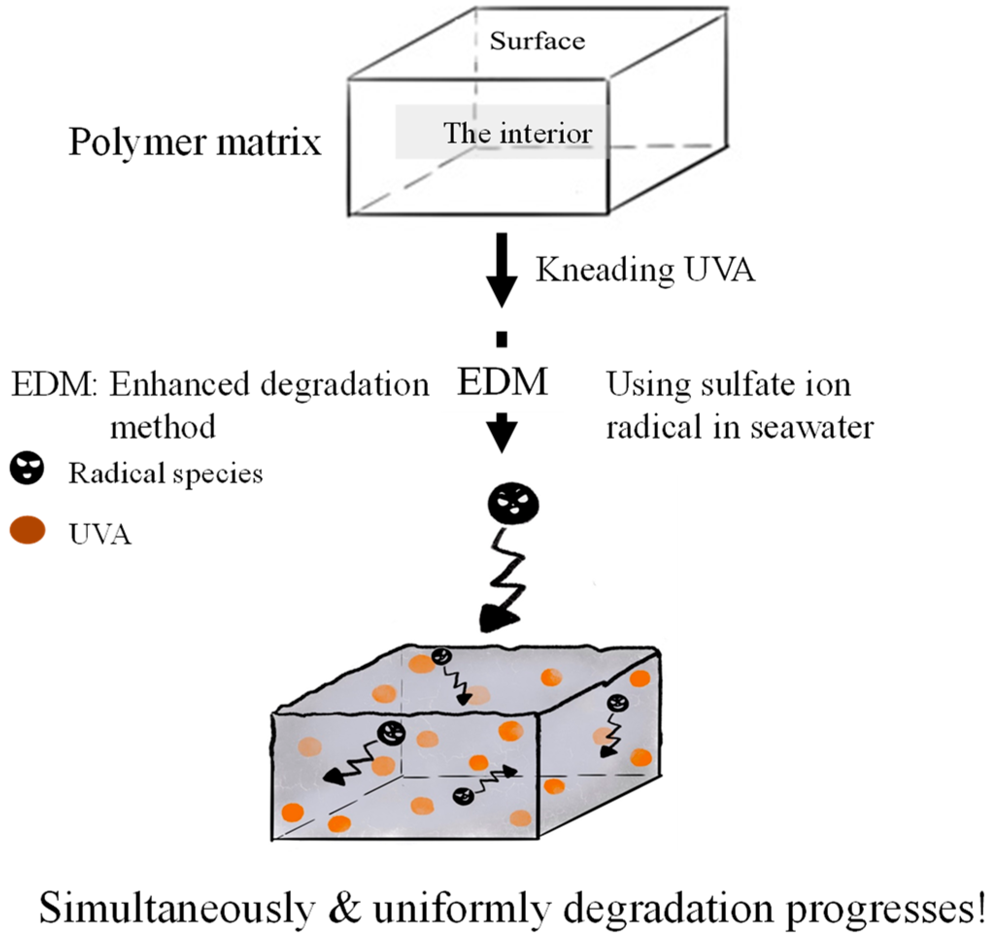Polymers 16 00293 g001