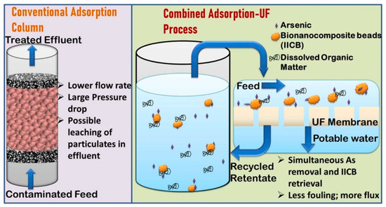 Biopolymeric Nanocomposites for Wastewater Remediation: An Overview on ...