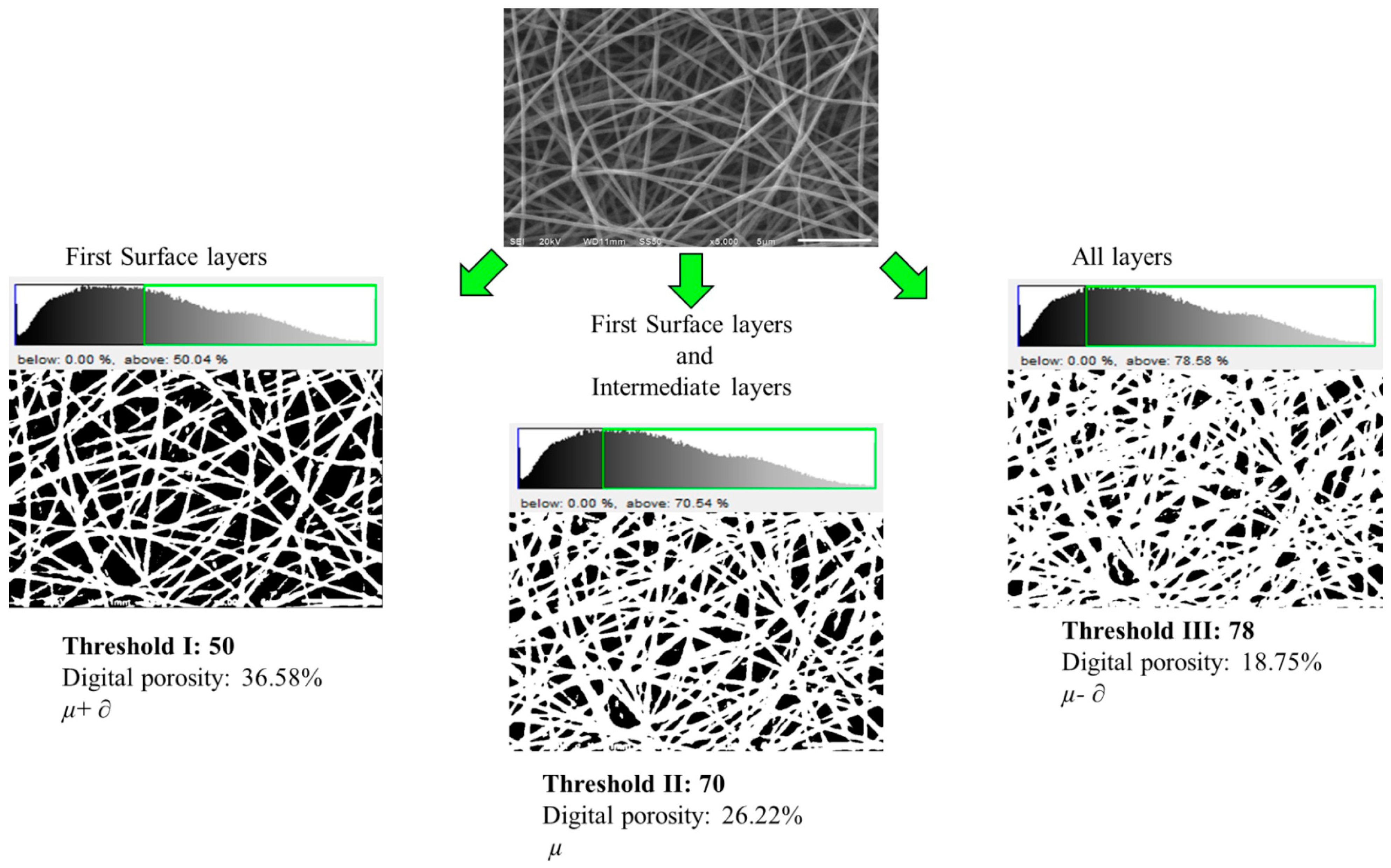 Polymers 16 00300 g001