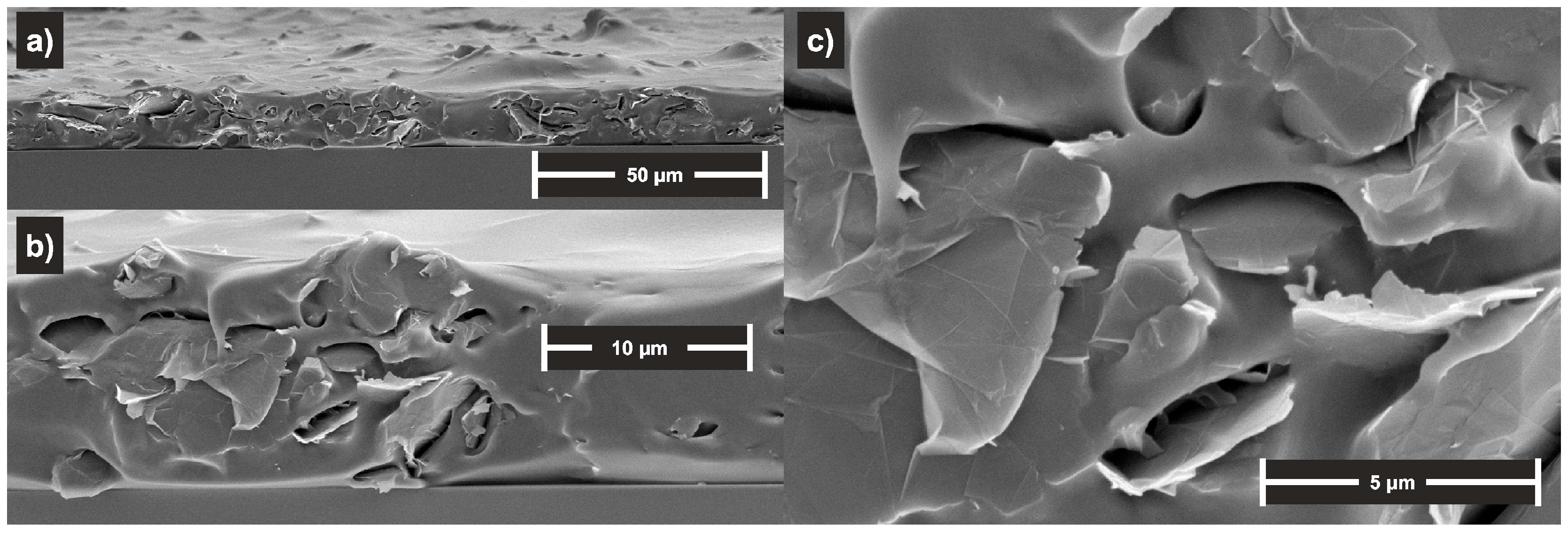 Polymers 16 00309 g003