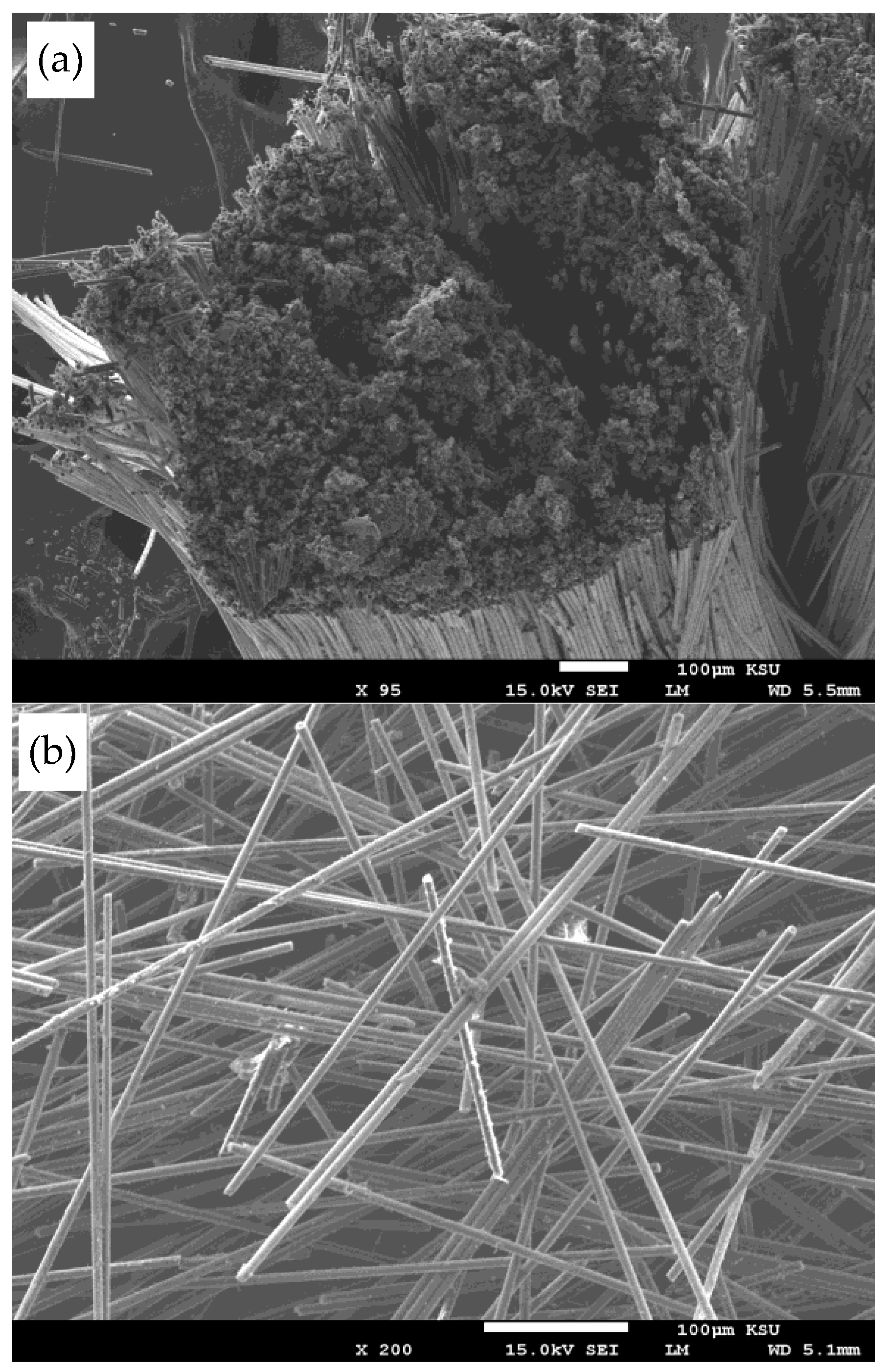 Polymers 16 00311 g002