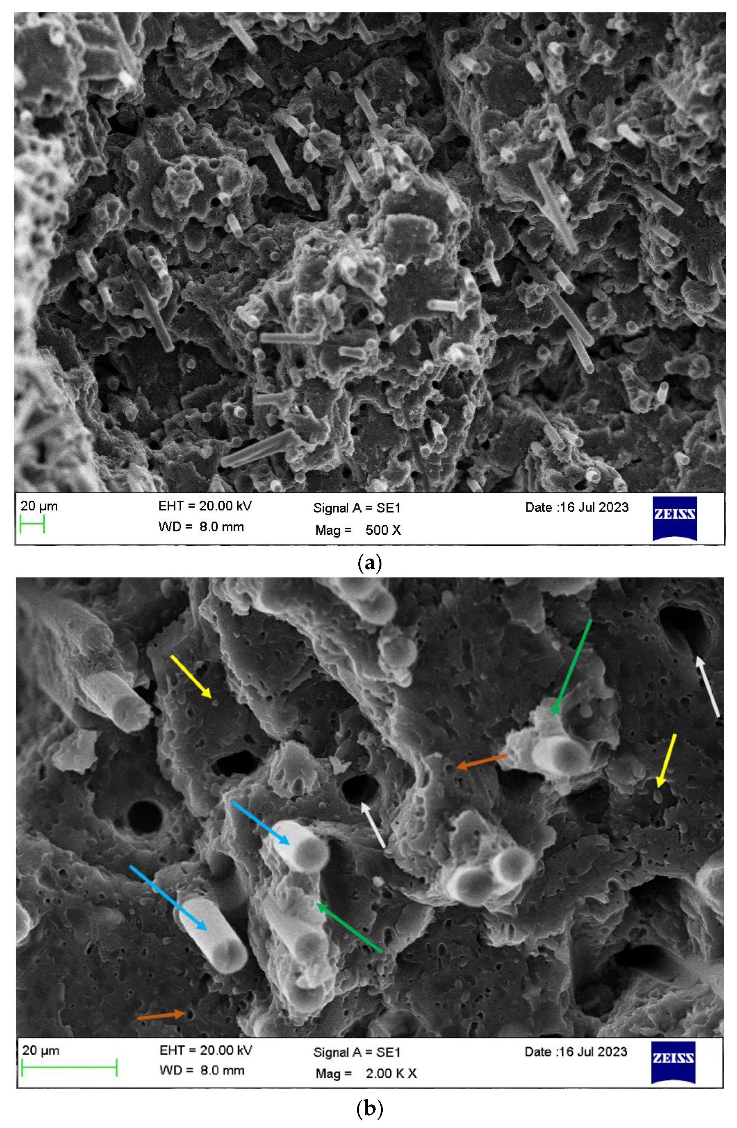 Polymers 16 00311 g014