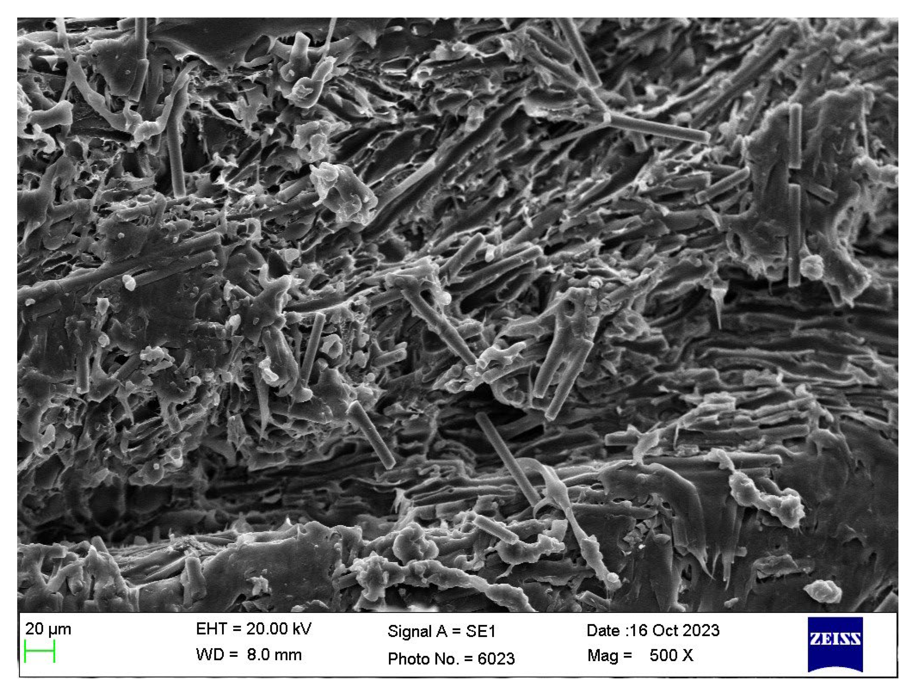 Polymers 16 00311 g016