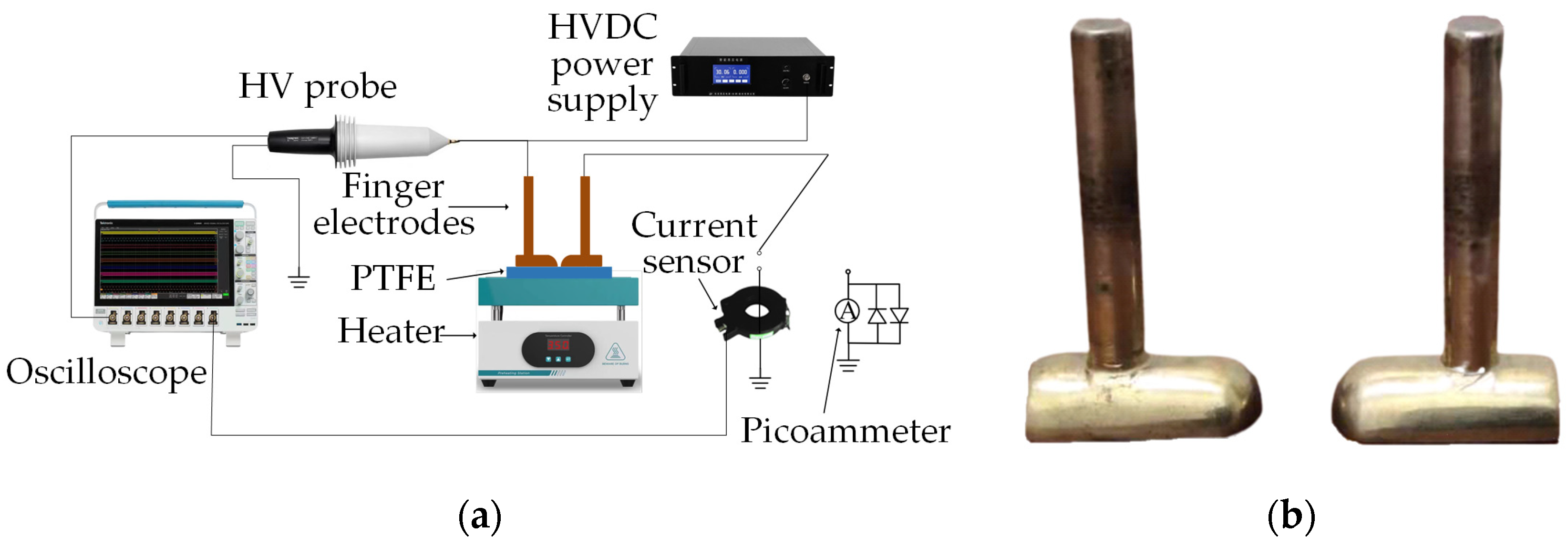 Polymers 16 00316 g002