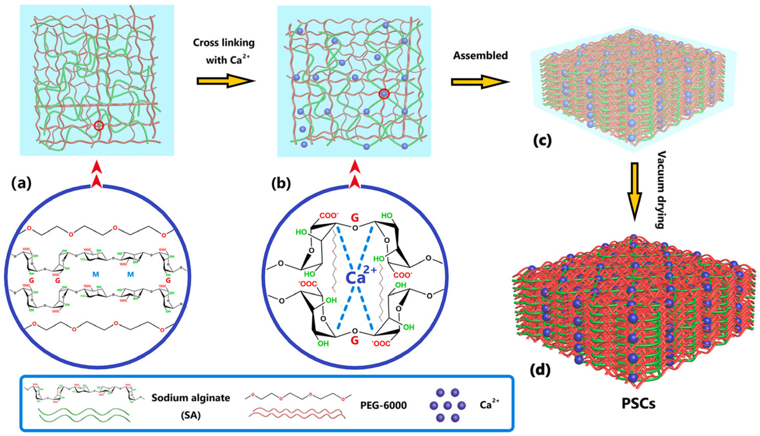 Polymers 16 00328 g006