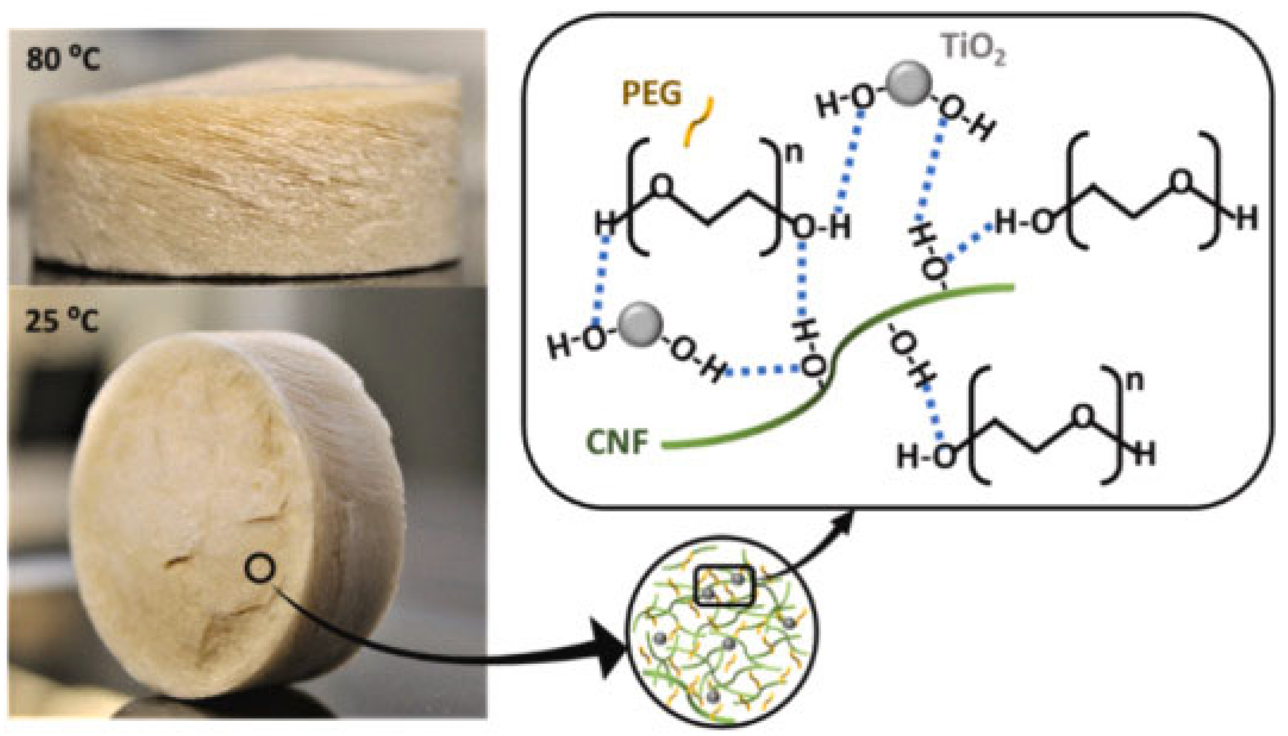 Polymers 16 00328 g008