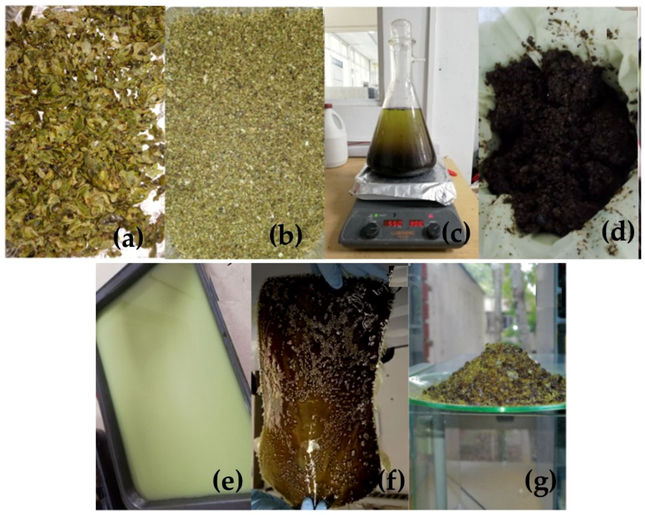 Polymers 16 00329 g002
