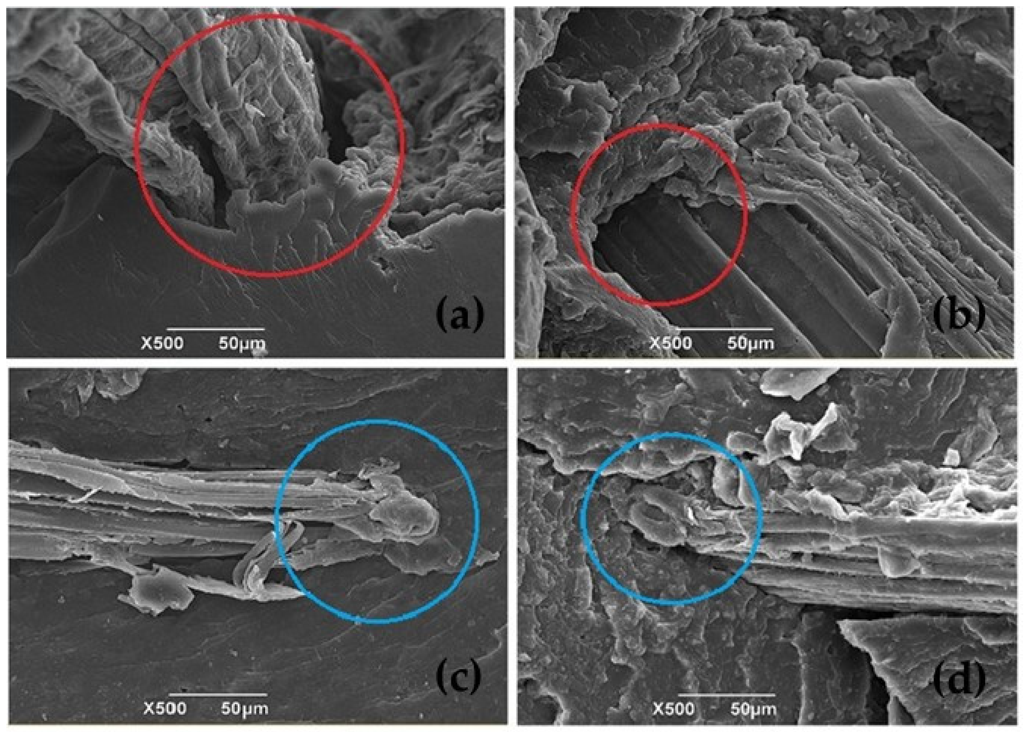 Polymers 16 00329 g006