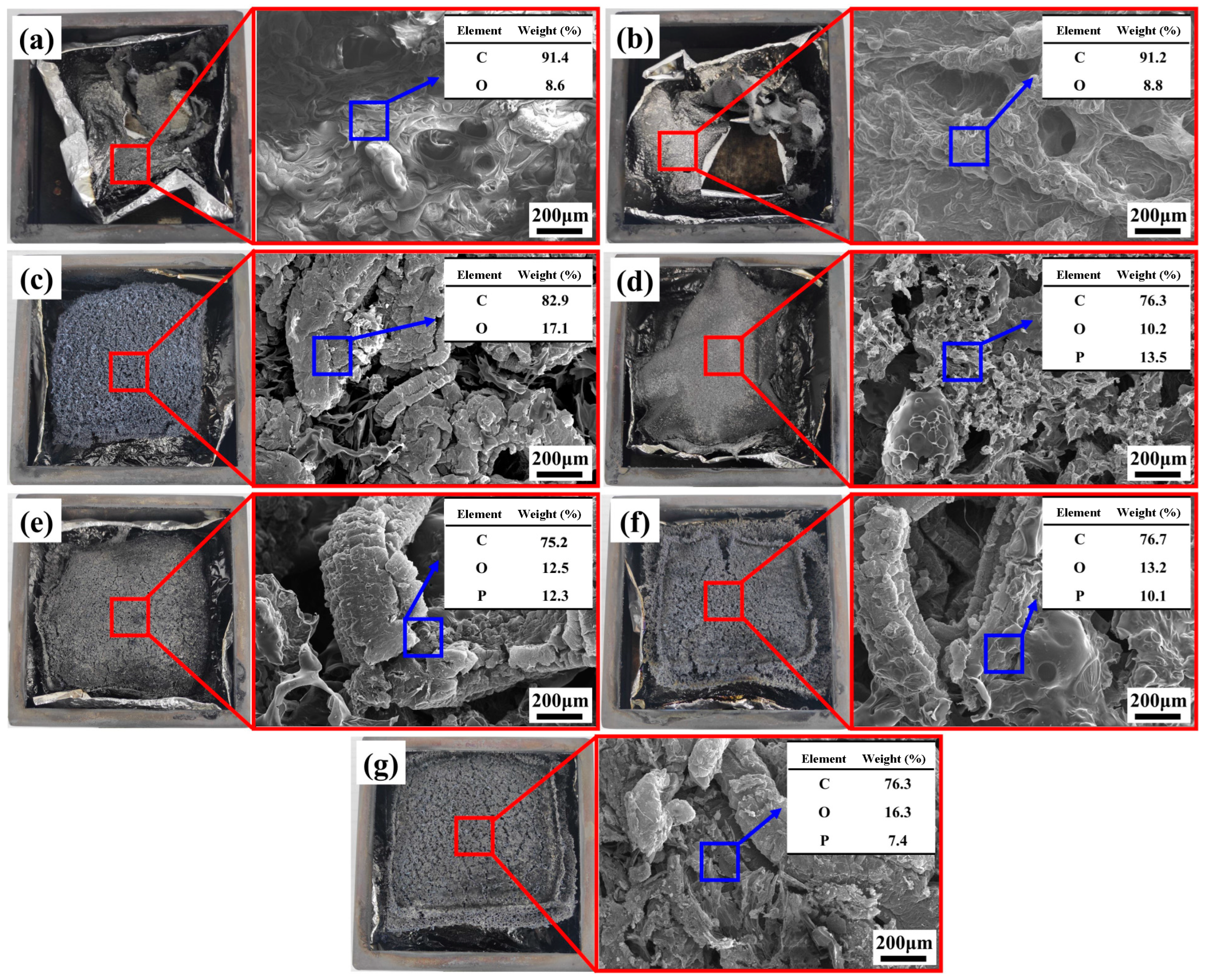 Polymers 16 00330 g008