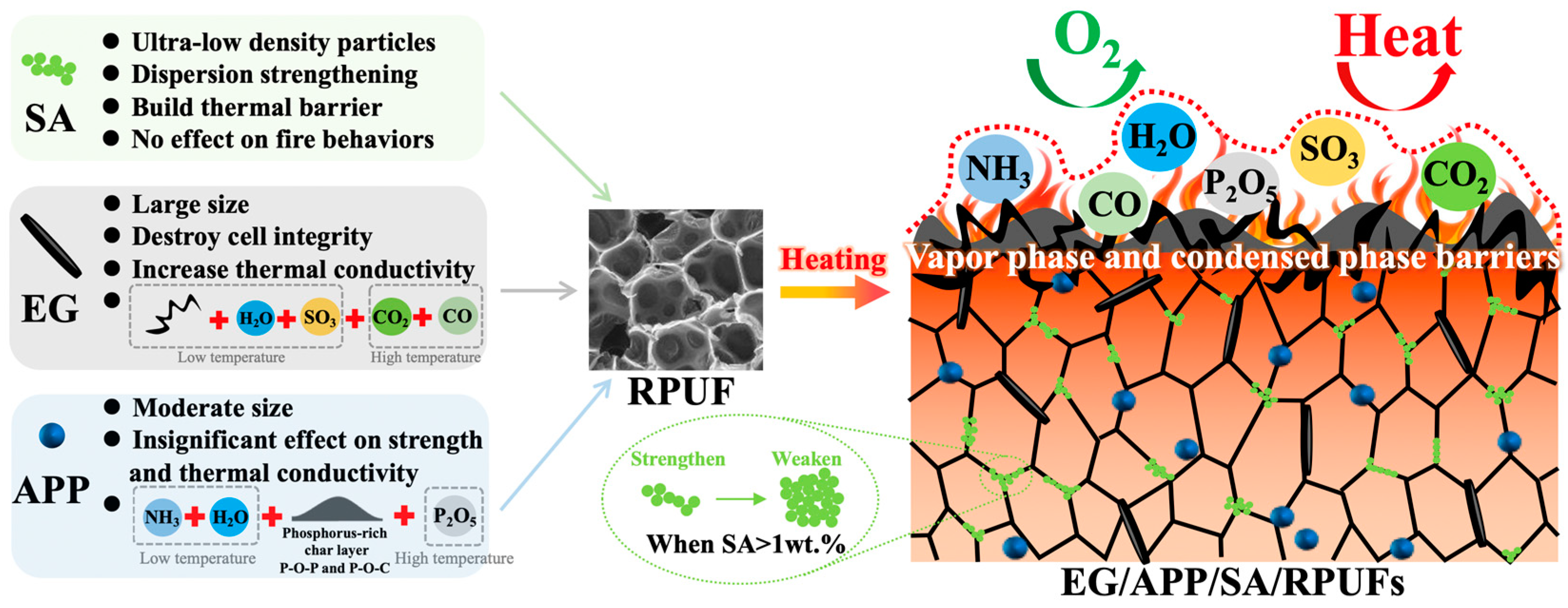 Polymers 16 00330 g009