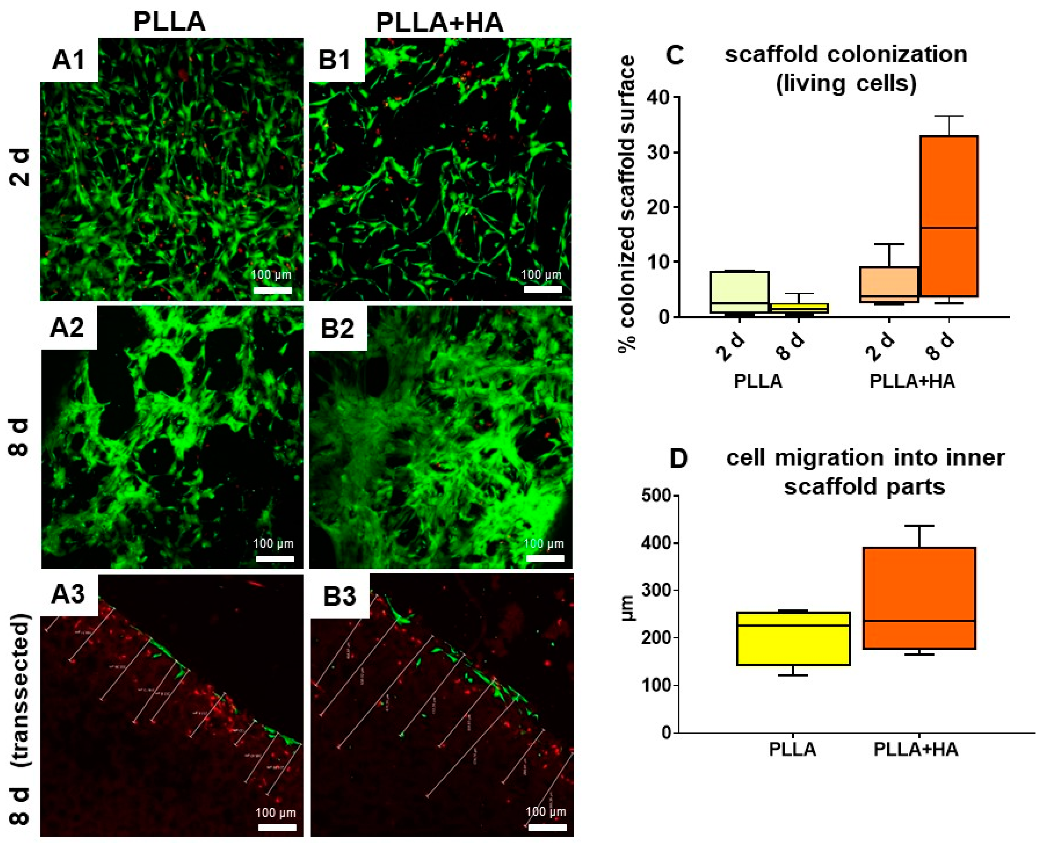 Polymers 16 00331 g004