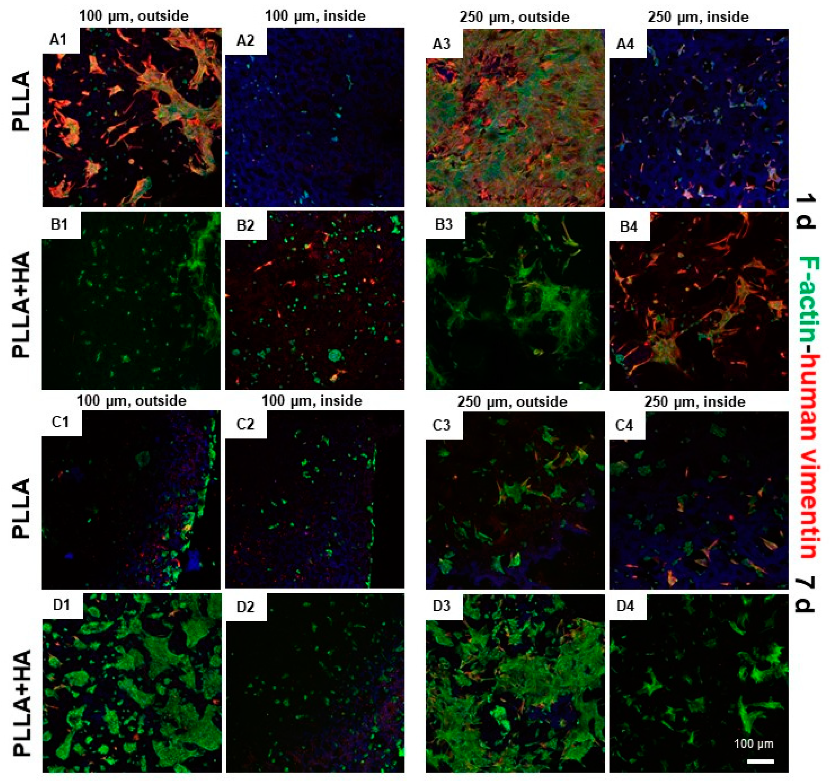 Polymers 16 00331 g009