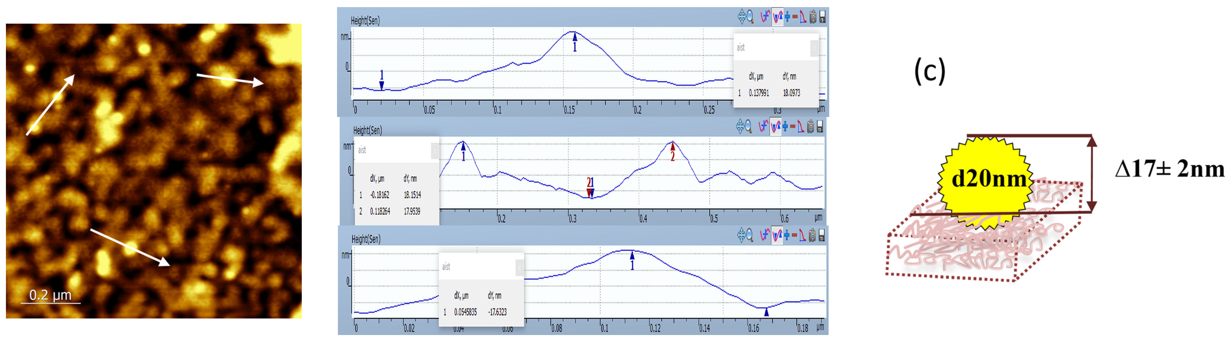 Polymers 16 00332 g004b Polymers 16 00332 g004b