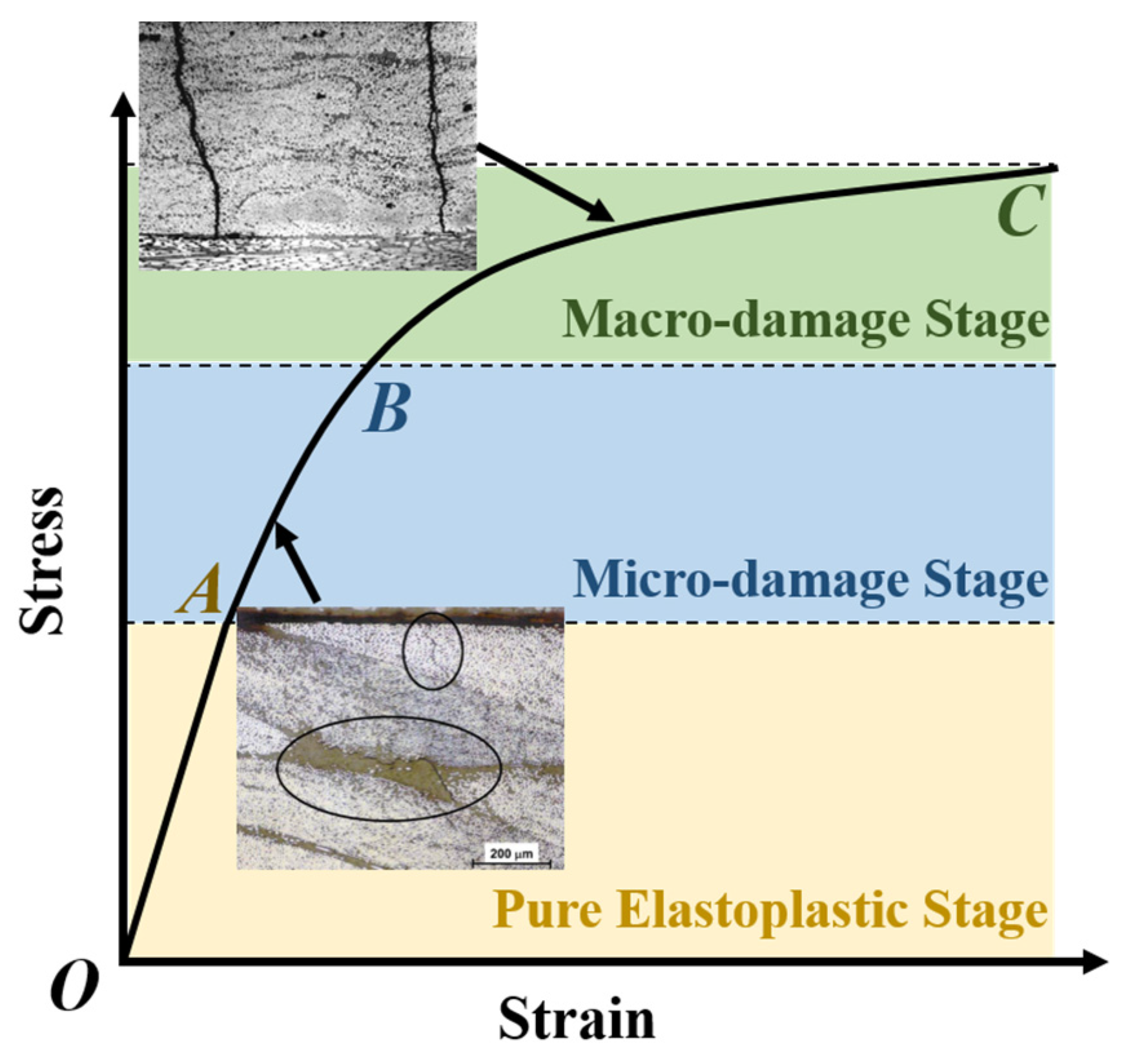 An Anisotropic Damage-Plasticity Constitutive Model of Continuous 