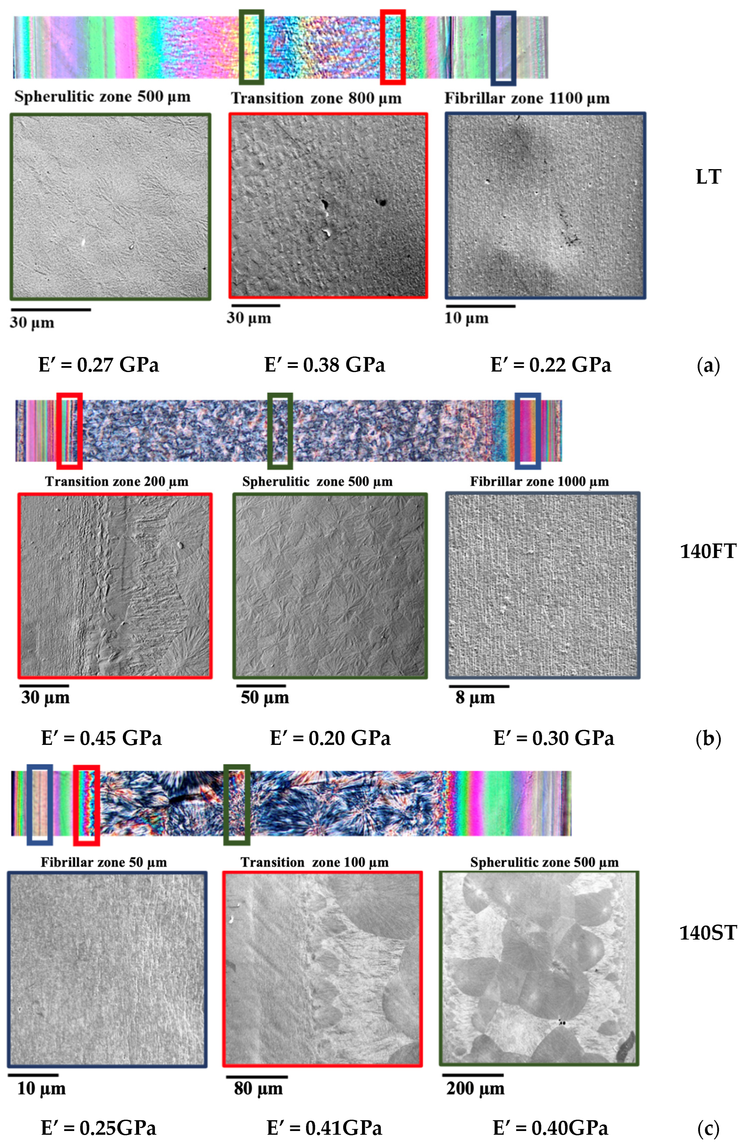 Polymers 16 00337 g003a