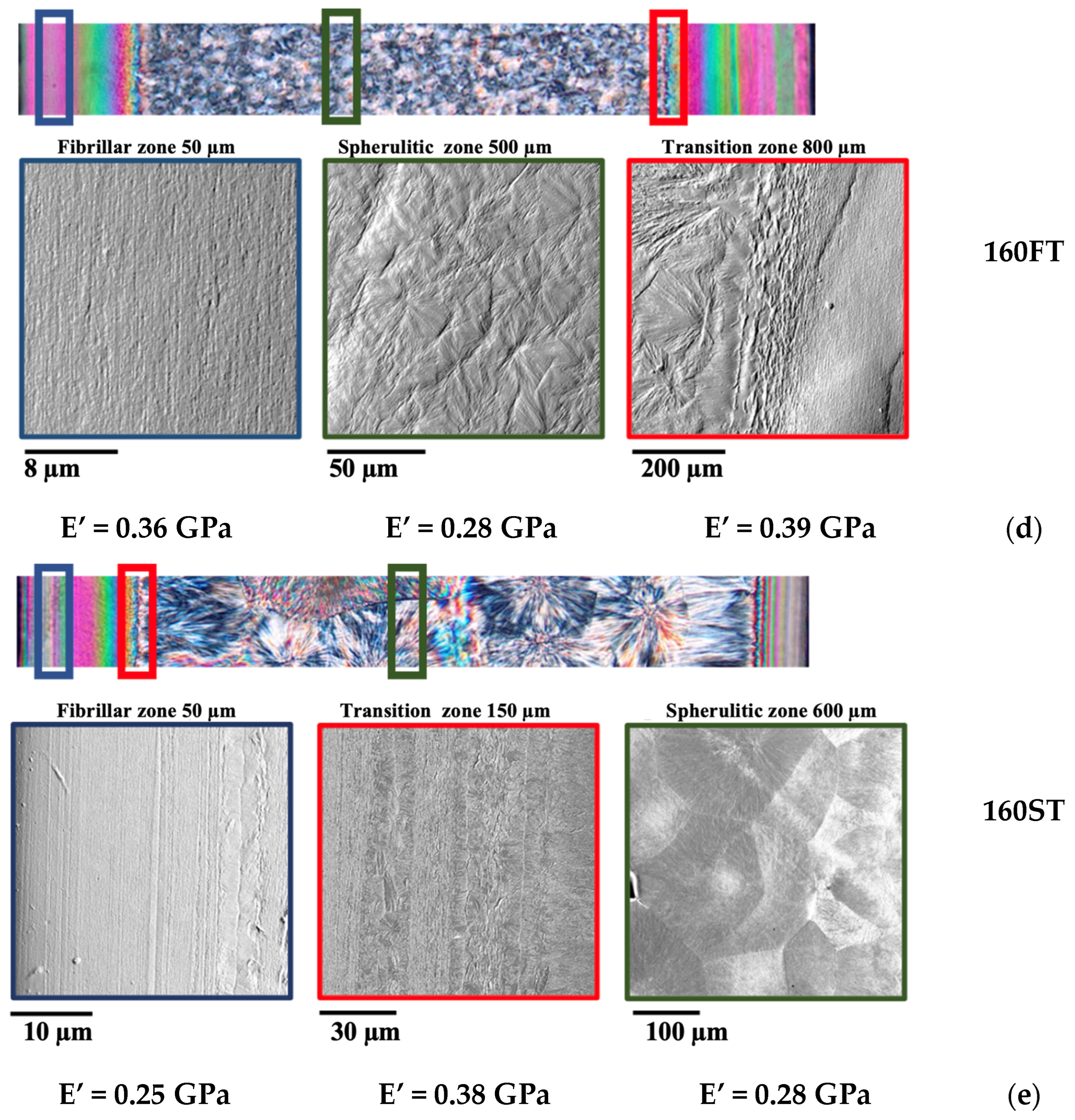 Polymers 16 00337 g003b