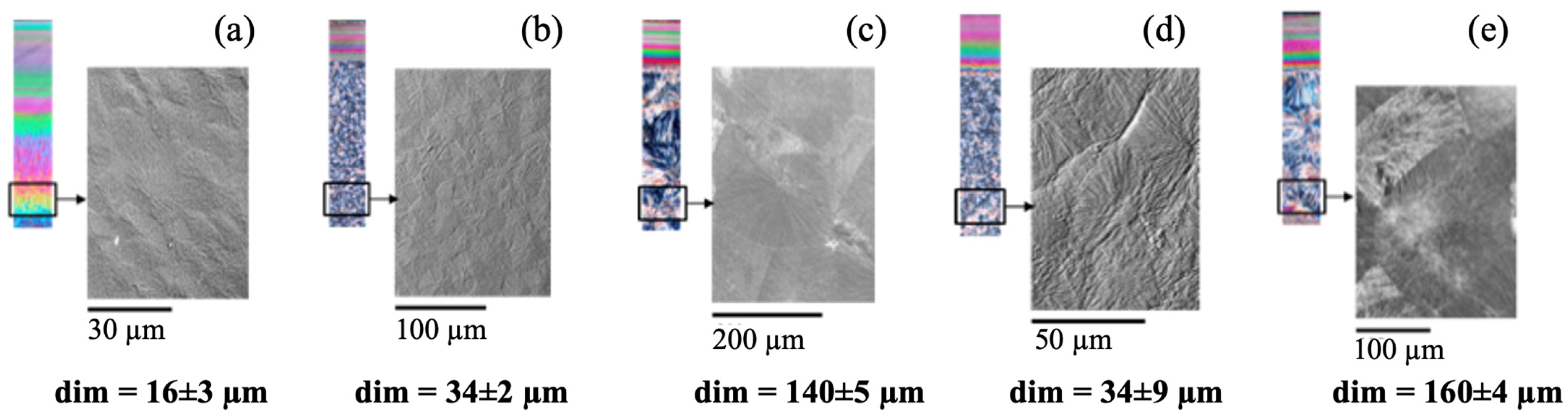 Polymers 16 00337 g004