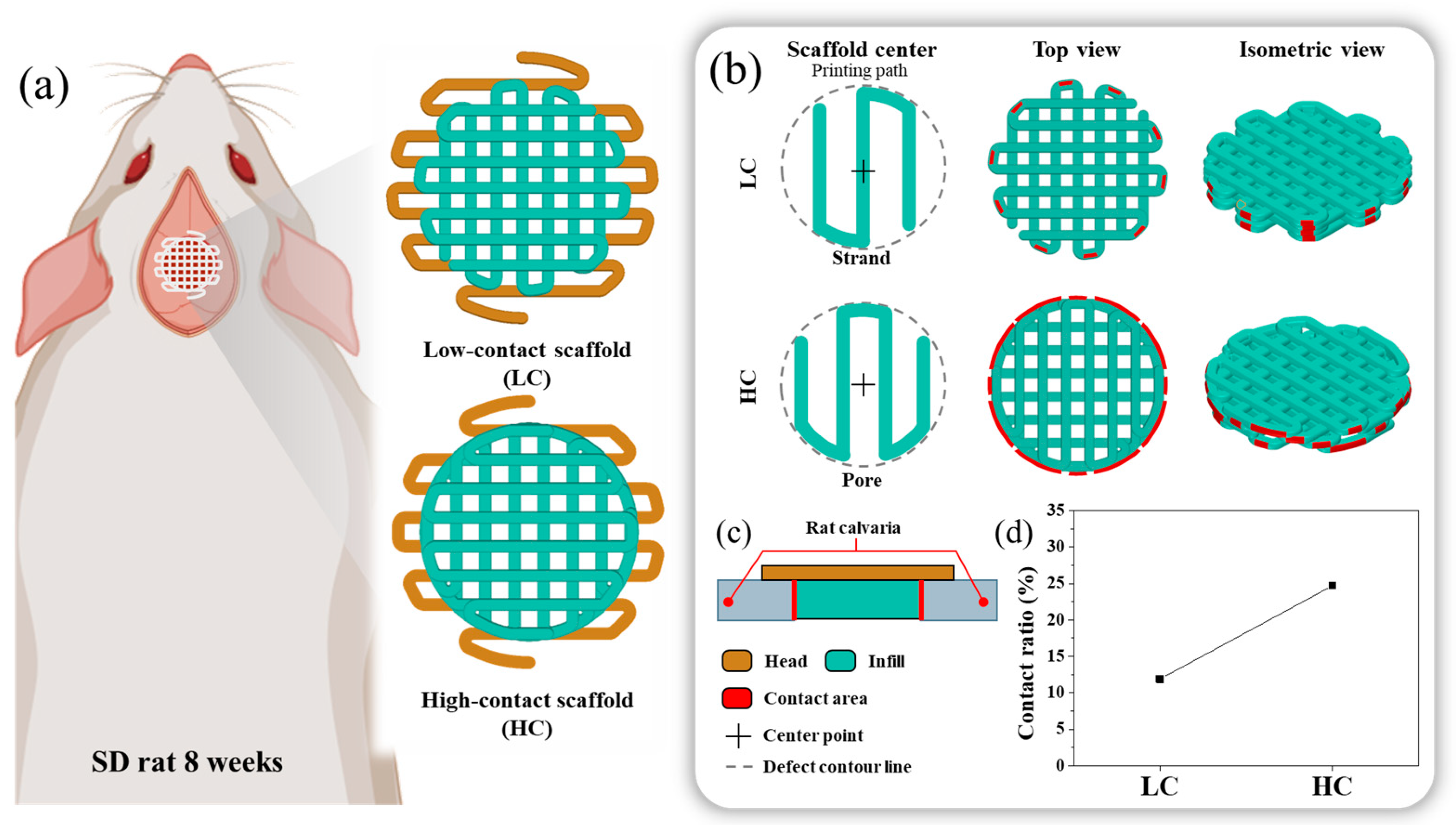 Polymers 16 00338 g001