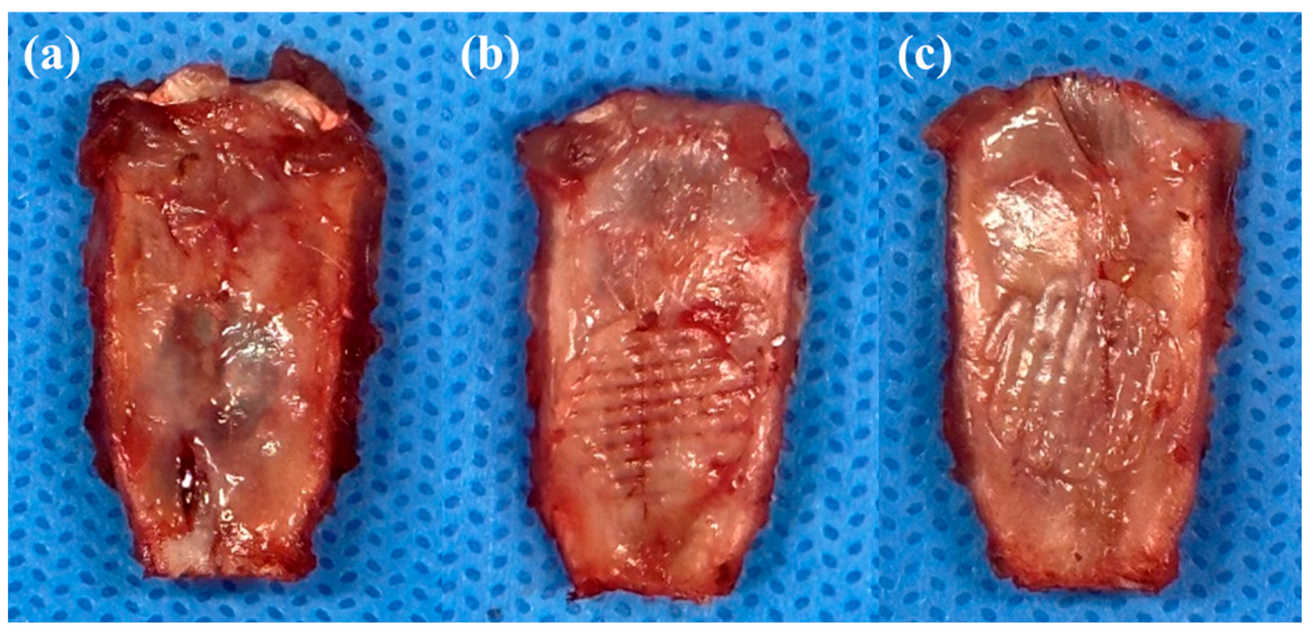 Polymers 16 00338 g005