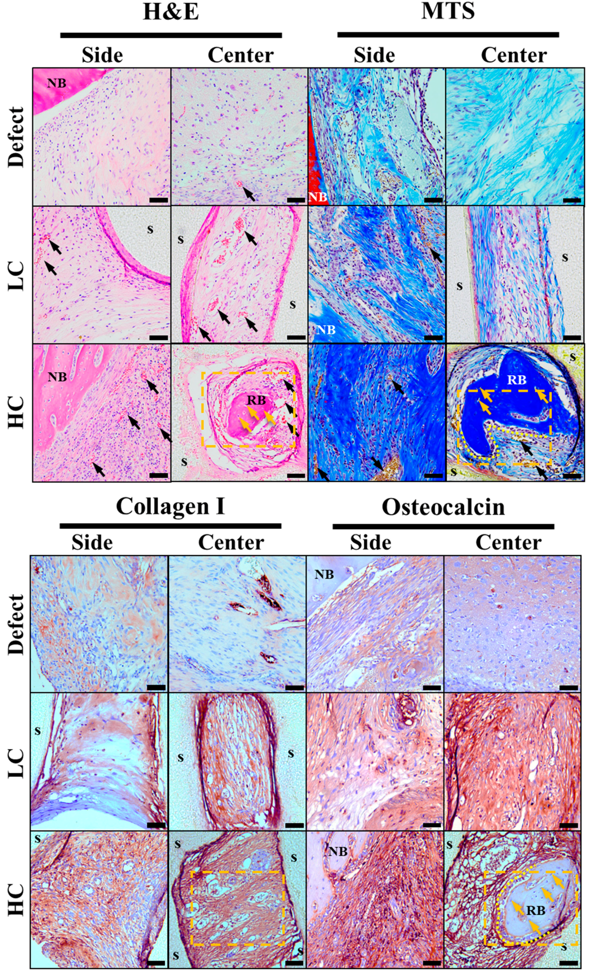 Polymers 16 00338 g007
