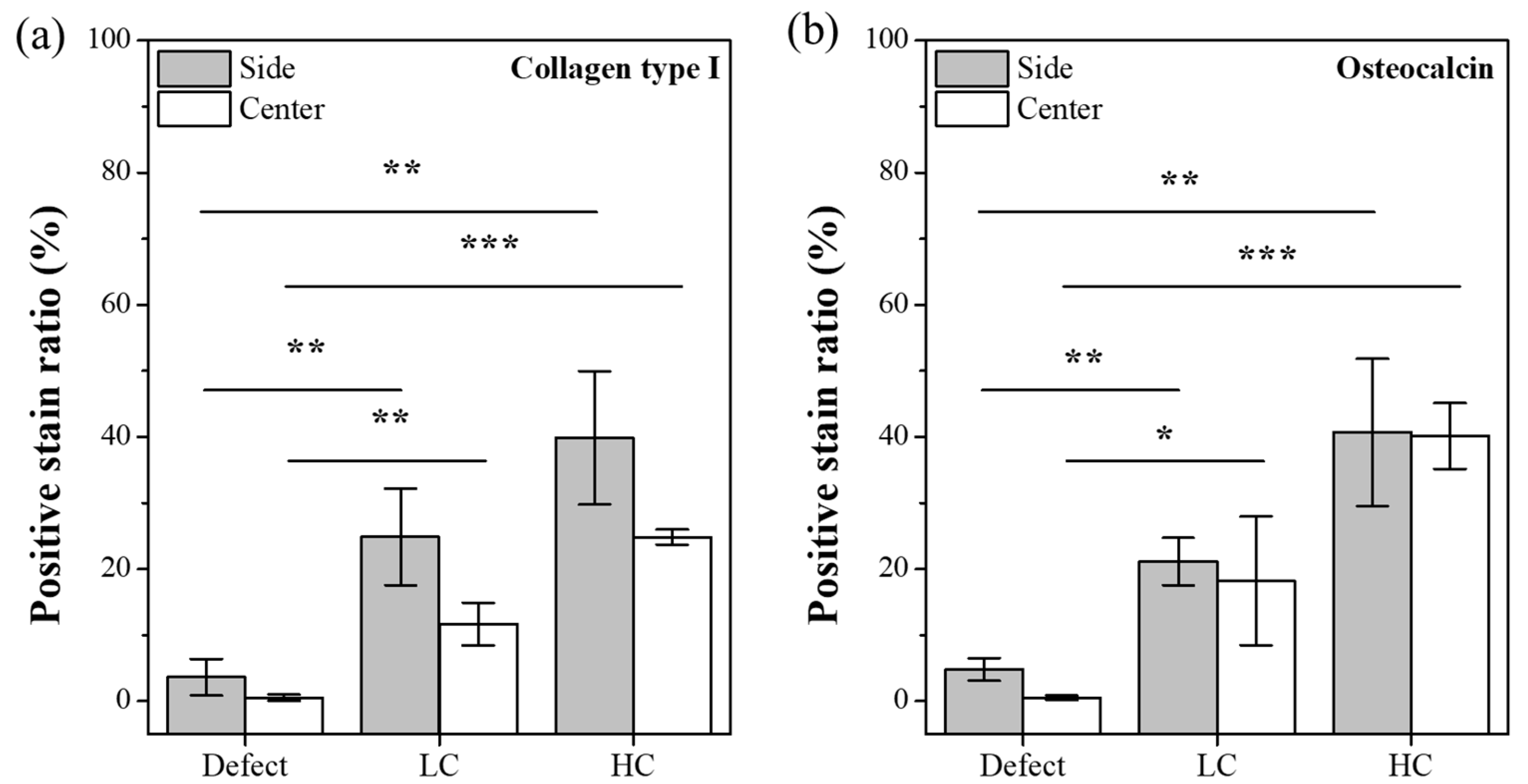 Polymers 16 00338 g009